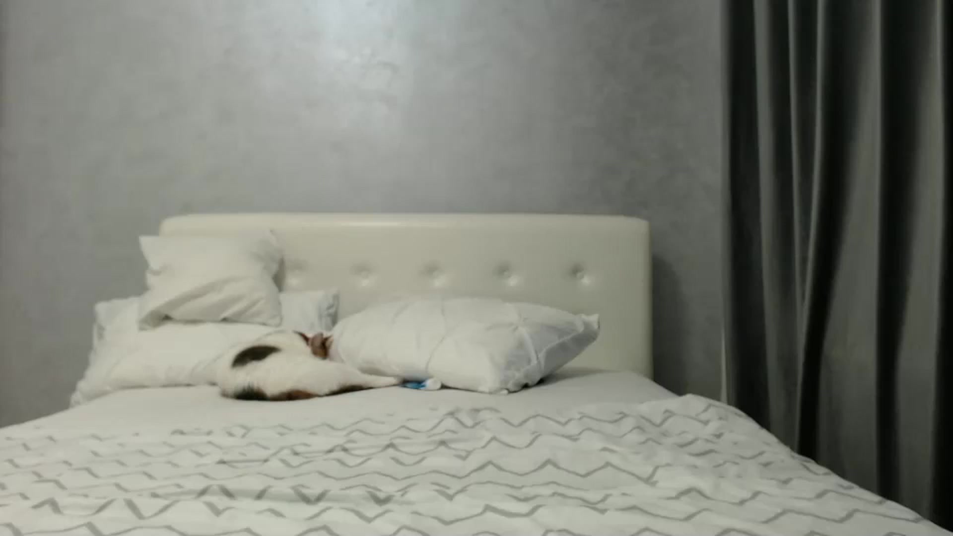 Gallery image thumbnail from Aahh_Emilia's myfreecams stream on, 02/22/2025, 17:37 image 16 of 20