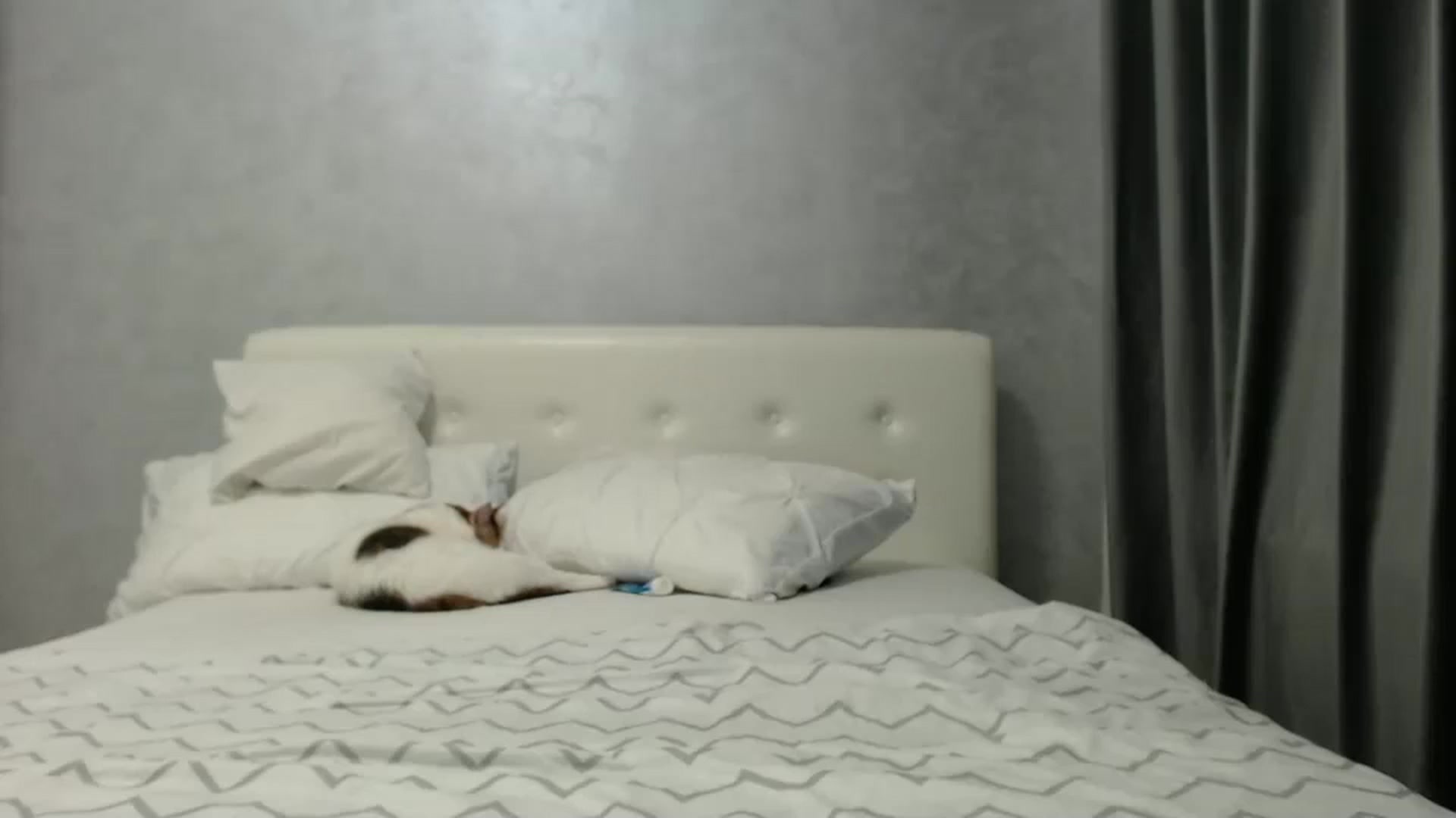 Gallery image thumbnail from Aahh_Emilia's myfreecams stream on, 02/22/2025, 17:37 image 14 of 20