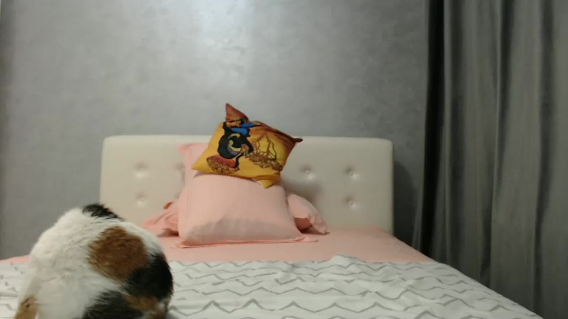 Gallery image thumbnail from Aahh_Emilia's myfreecams stream on, 02/25/2025, 19:08 image 17 of 20