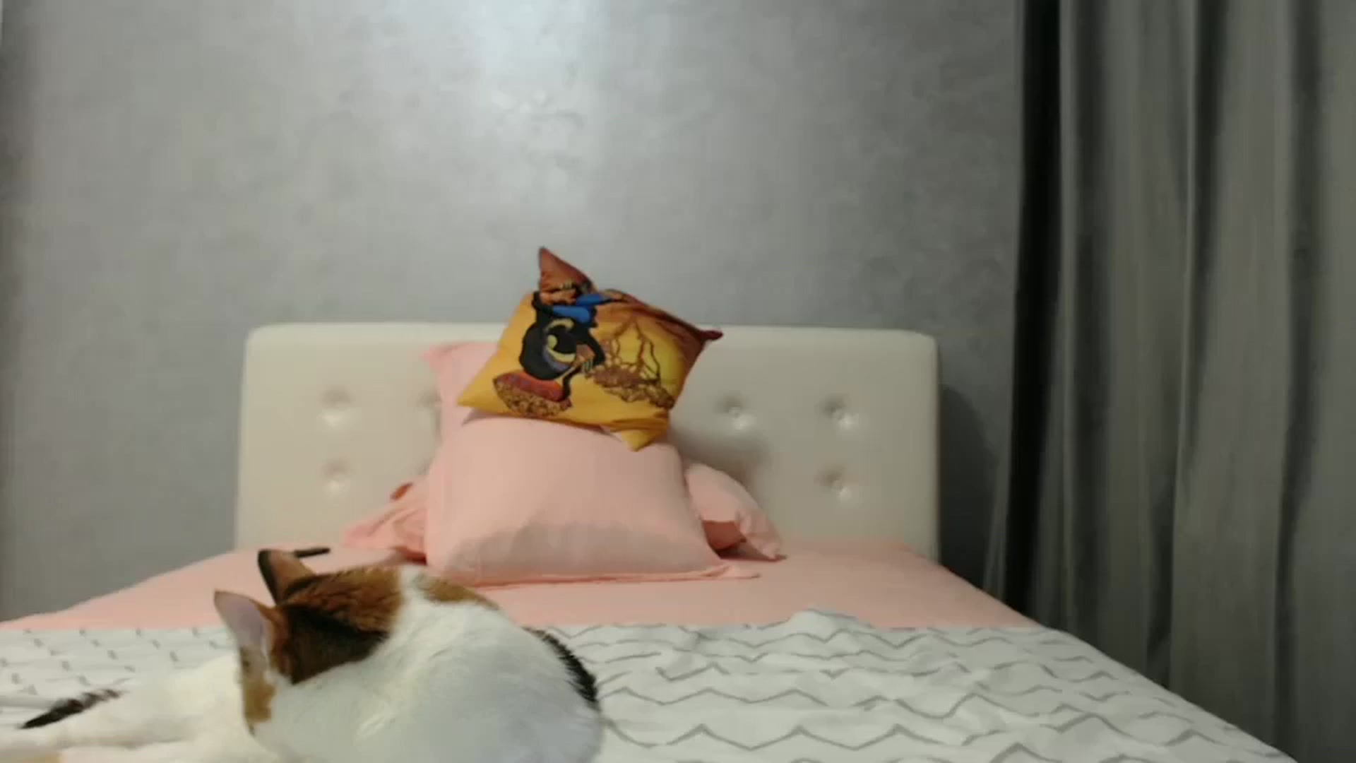 Gallery image thumbnail from Aahh_Emilia's myfreecams stream on, 02/25/2025, 19:08 image 15 of 20