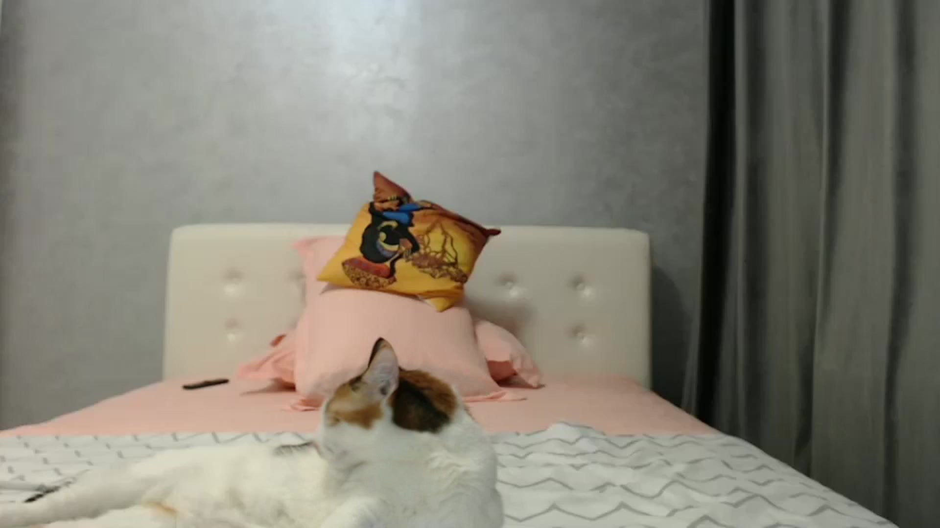 Gallery image thumbnail from Aahh_Emilia's myfreecams stream on, 02/25/2025, 19:08 image 14 of 20