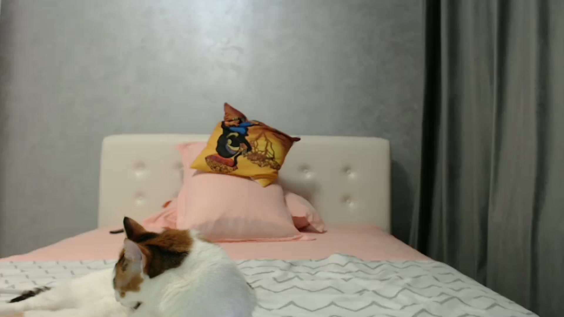 Gallery image thumbnail from Aahh_Emilia's myfreecams stream on, 02/25/2025, 19:08 image 16 of 20