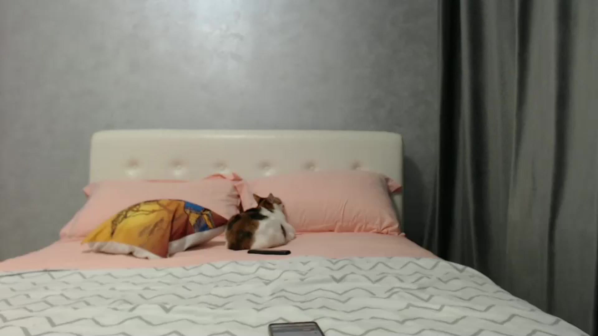 Gallery image thumbnail from Aahh_Emilia's myfreecams stream on, 02/27/2025, 17:47 image 11 of 20
