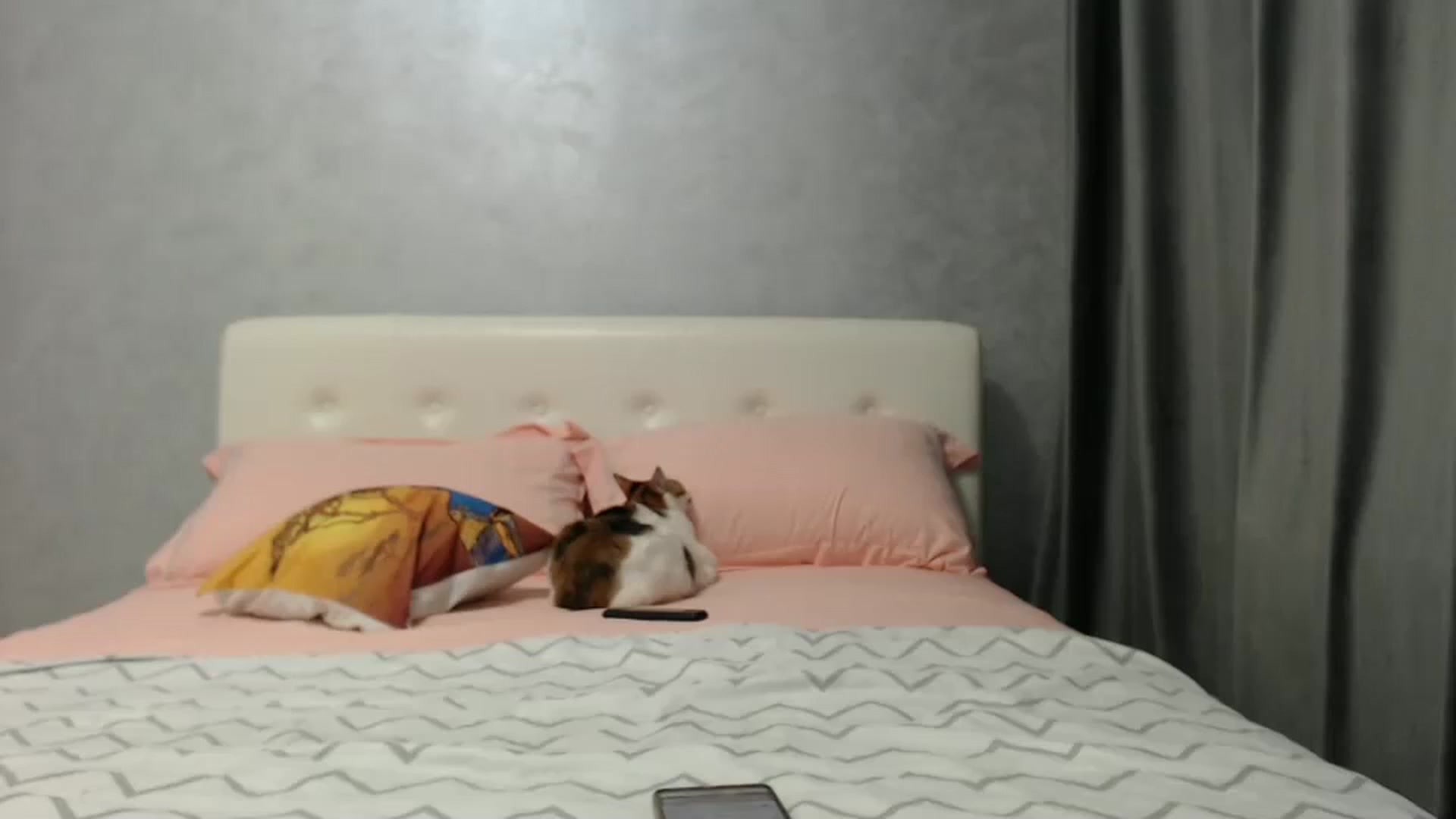Gallery image thumbnail from Aahh_Emilia's myfreecams stream on, 02/27/2025, 17:47 image 9 of 20