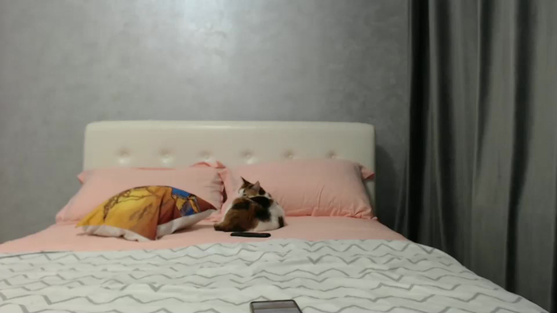 Gallery image thumbnail from Aahh_Emilia's myfreecams stream on, 02/27/2025, 17:47 image 8 of 20