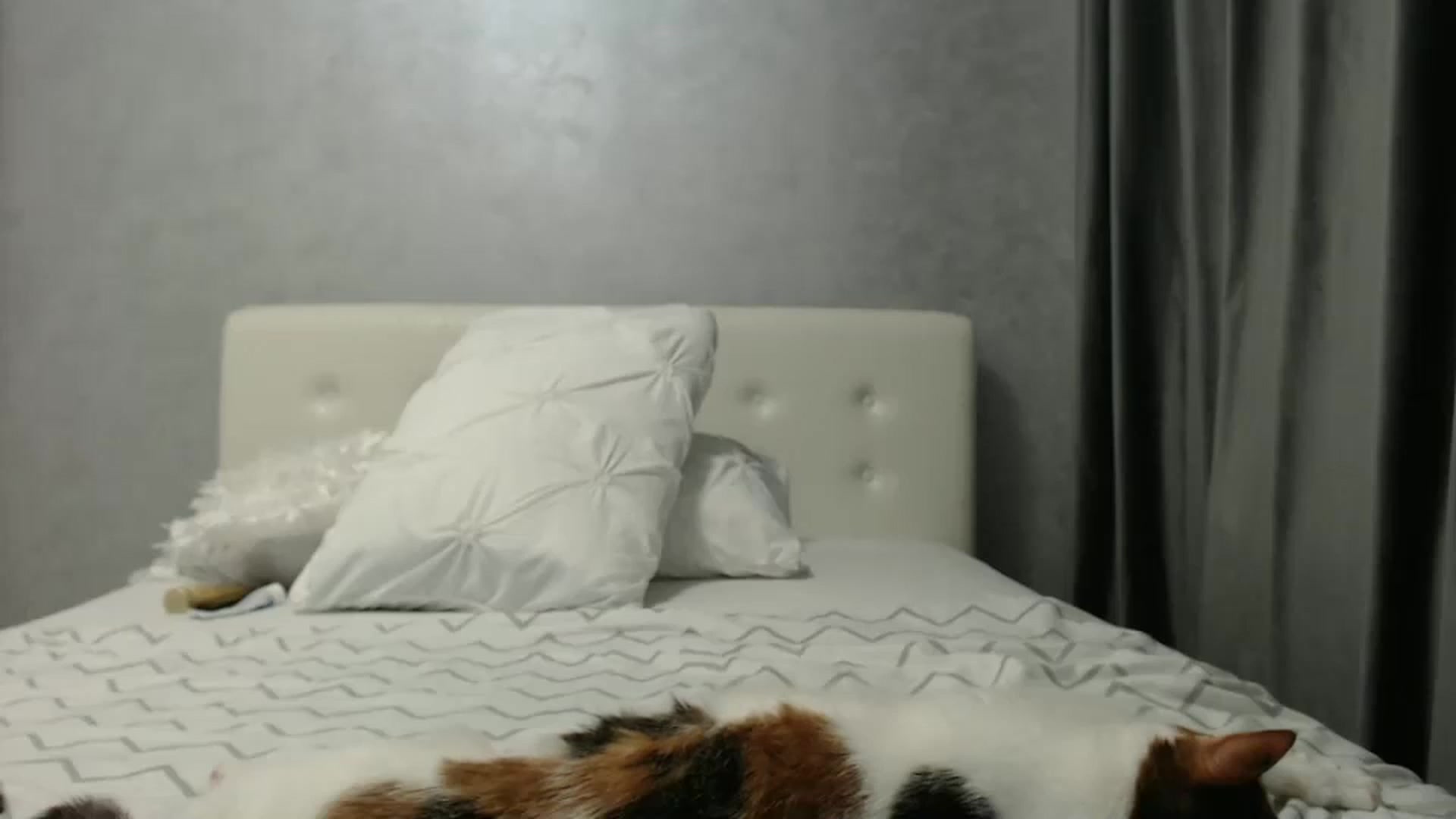 Gallery image thumbnail from Aahh_Emilia's myfreecams stream on, 03/07/2025, 18:43 image 13 of 20