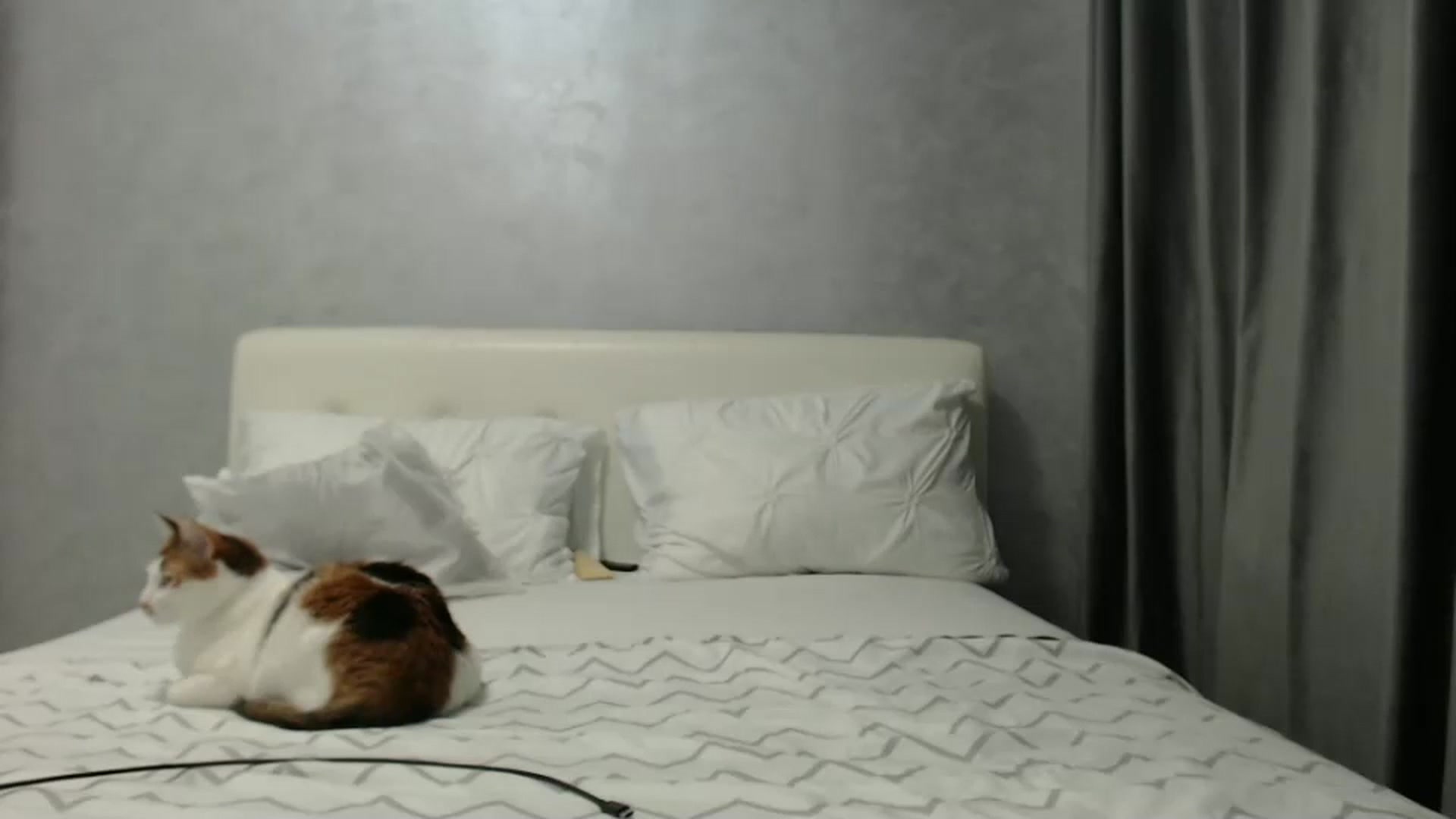Gallery image thumbnail from Aahh_Emilia's myfreecams stream on, 03/09/2025, 16:44 image 17 of 20