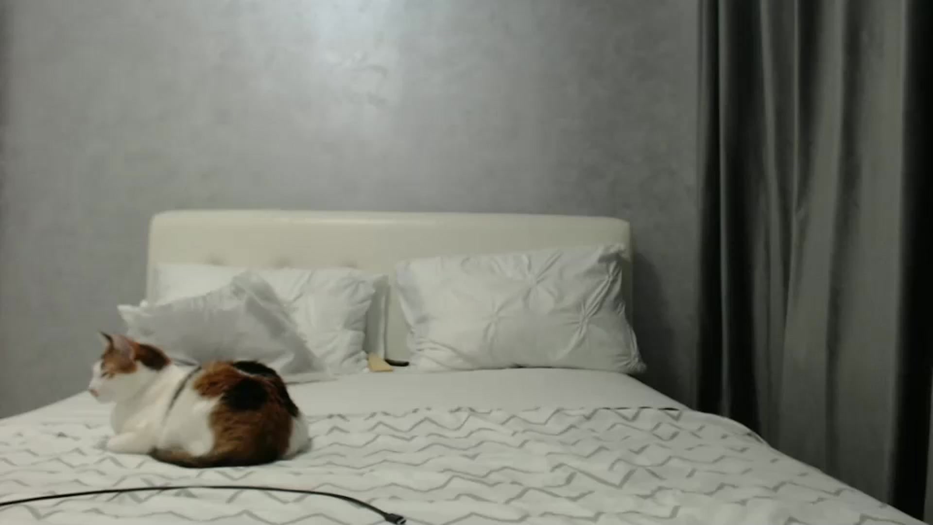 Gallery image thumbnail from Aahh_Emilia's myfreecams stream on, 03/09/2025, 16:44 image 18 of 20