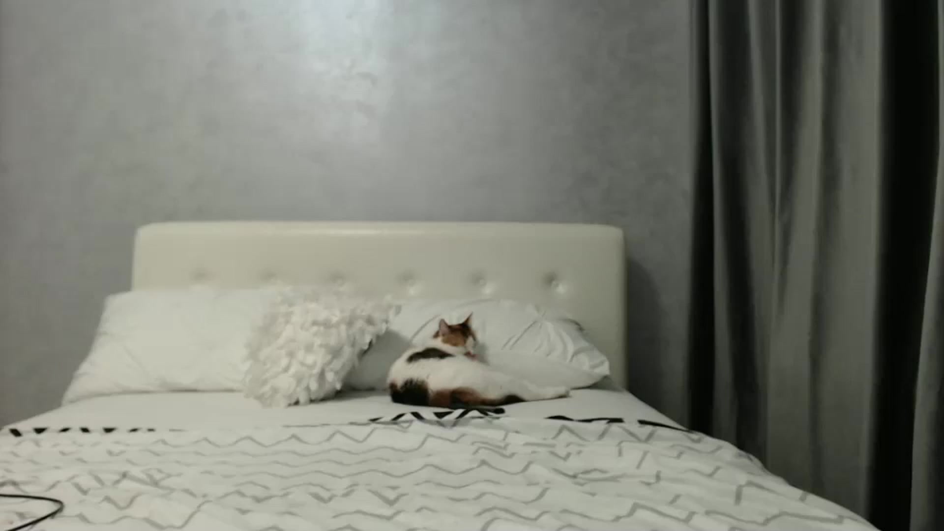 Gallery image thumbnail from Aahh_Emilia's myfreecams stream on, 03/11/2025, 16:31 image 10 of 20