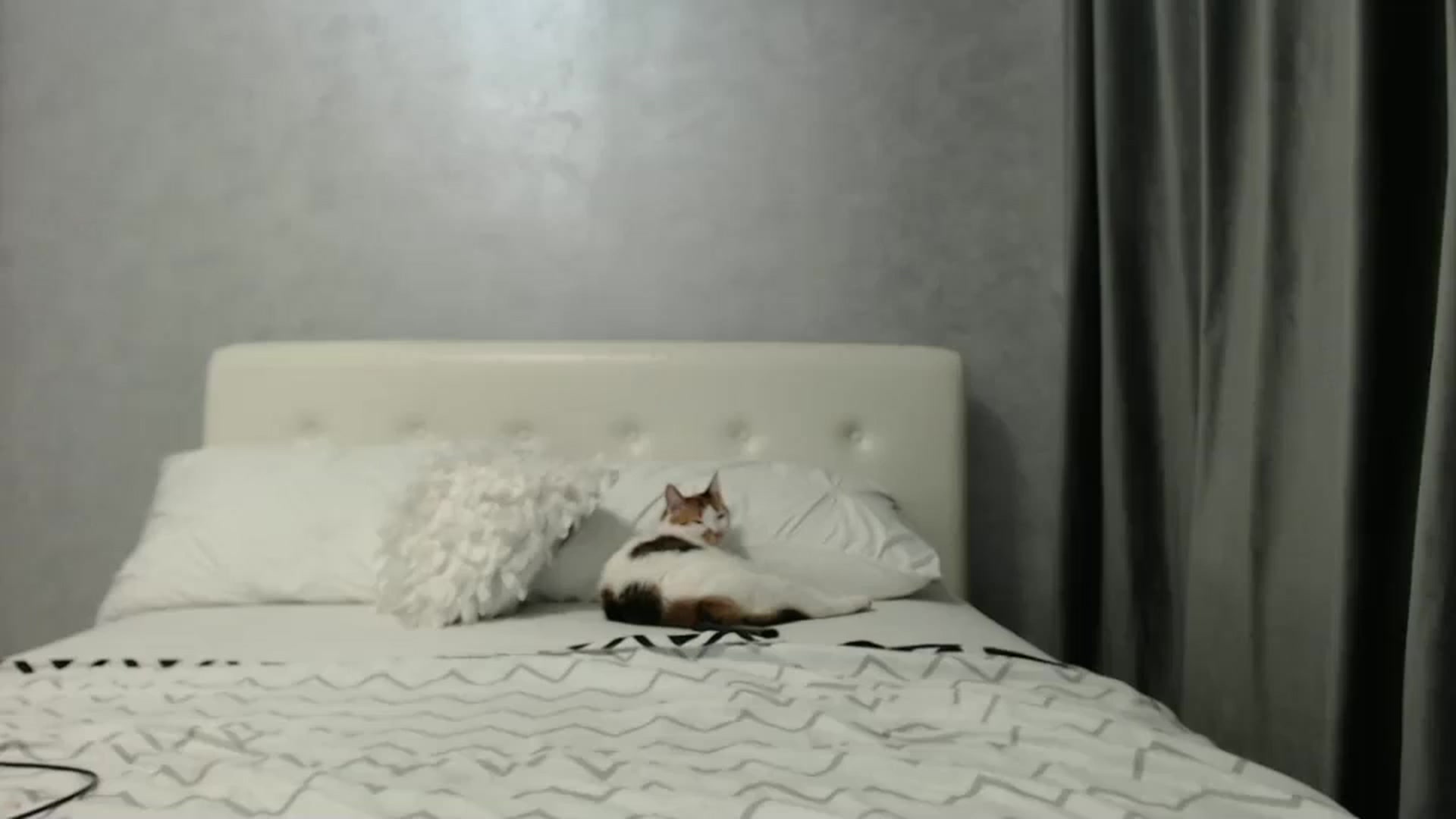 Gallery image thumbnail from Aahh_Emilia's myfreecams stream on, 03/11/2025, 16:31 image 8 of 20