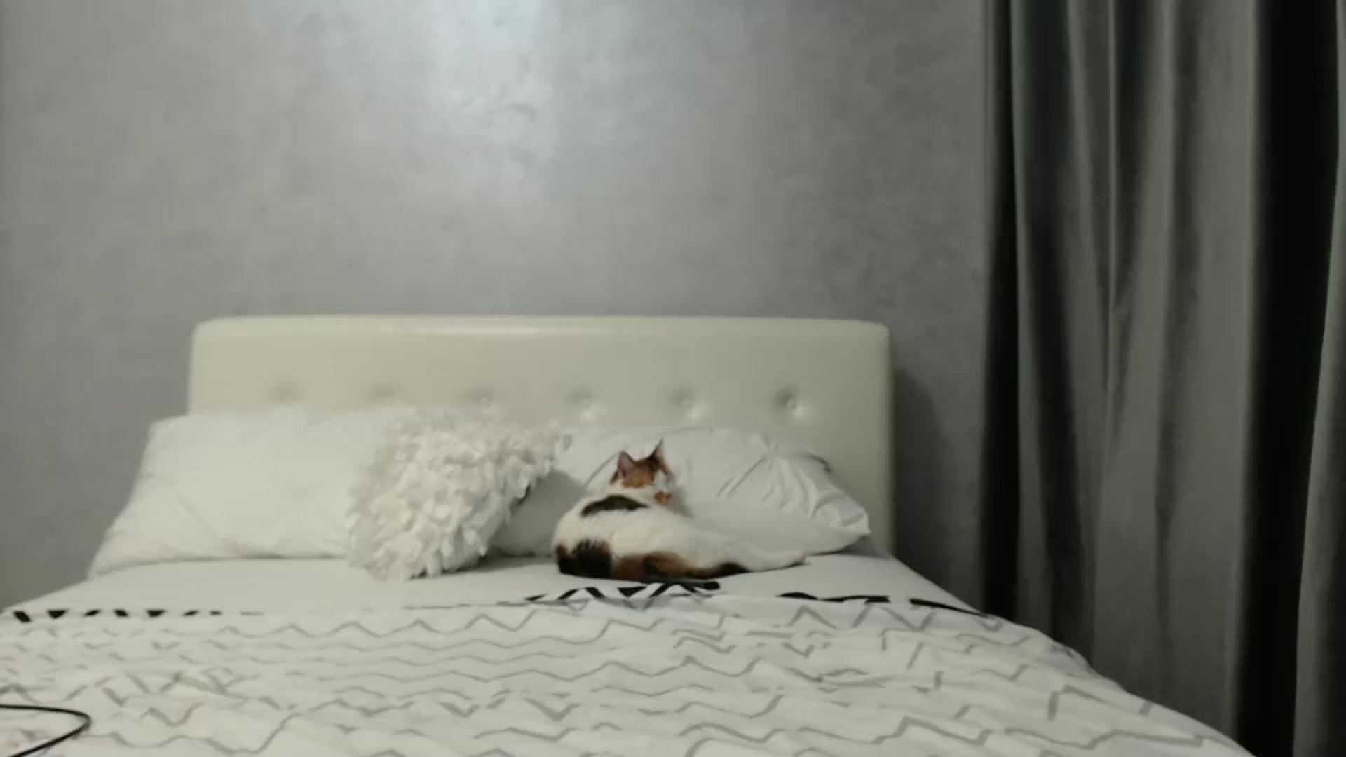 Gallery image thumbnail from Aahh_Emilia's myfreecams stream on, 03/11/2025, 16:31 image 9 of 20