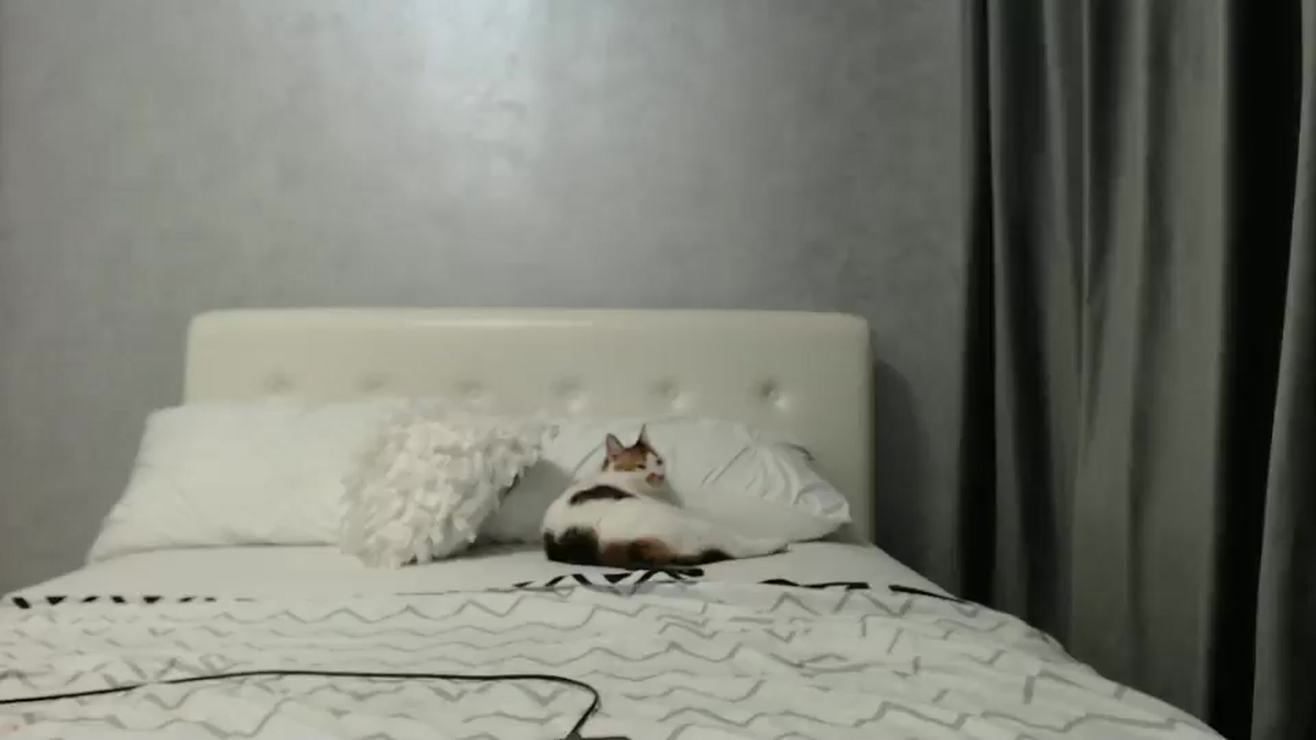 Gallery image thumbnail from Aahh_Emilia's myfreecams stream on, 03/11/2025, 16:31 image 7 of 20