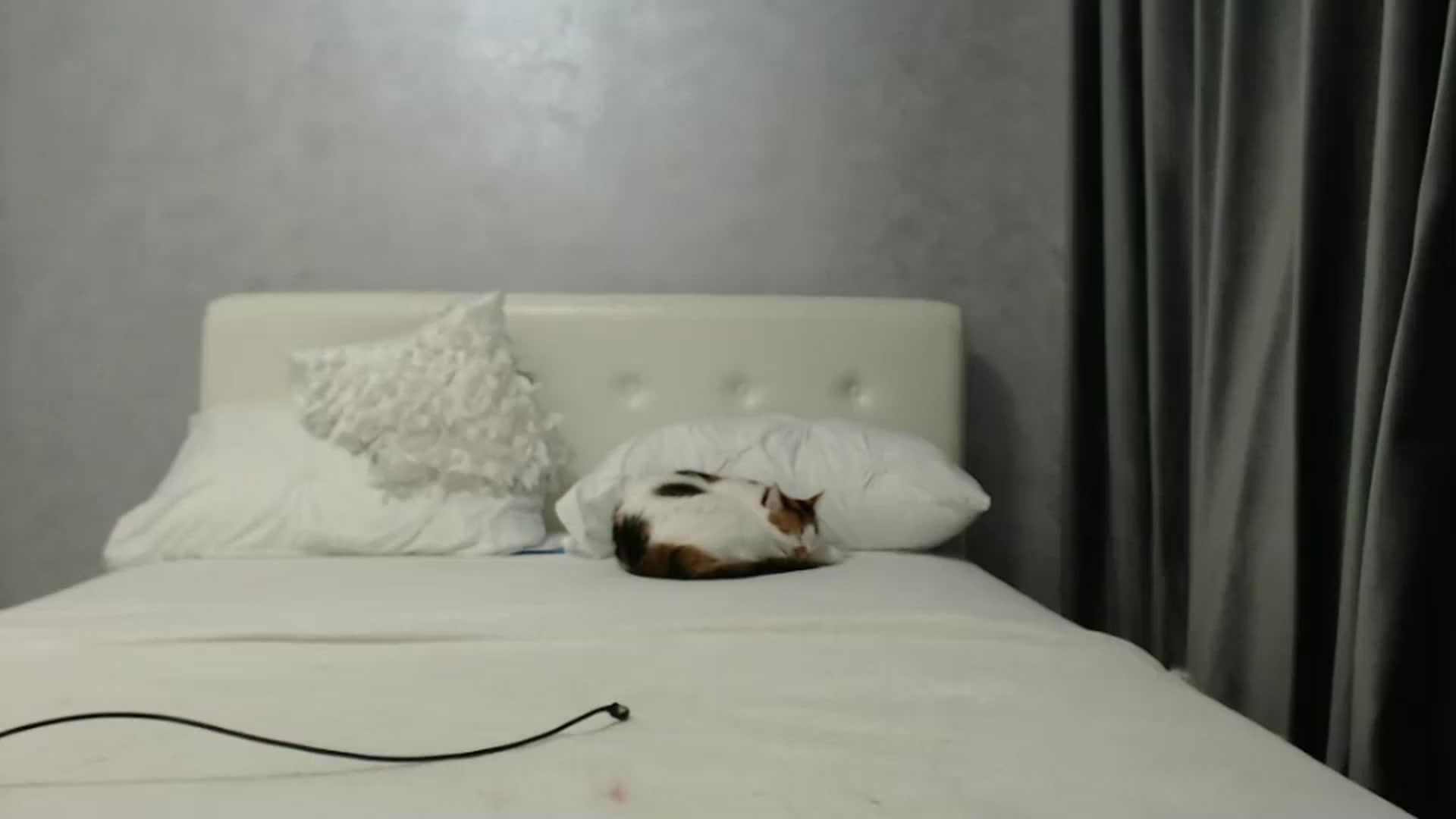Gallery image thumbnail from Aahh_Emilia's myfreecams stream on, 03/13/2025, 16:43 image 9 of 20