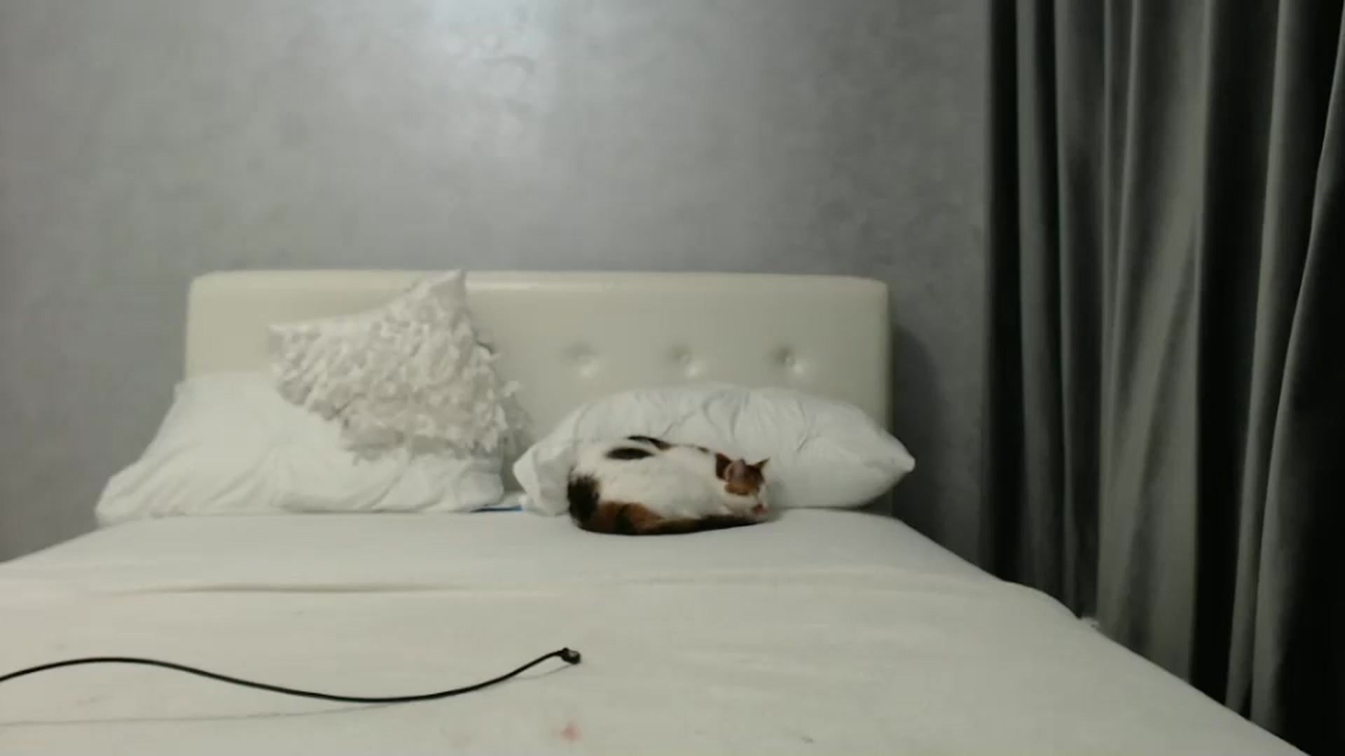 Gallery image thumbnail from Aahh_Emilia's myfreecams stream on, 03/13/2025, 16:43 image 13 of 20