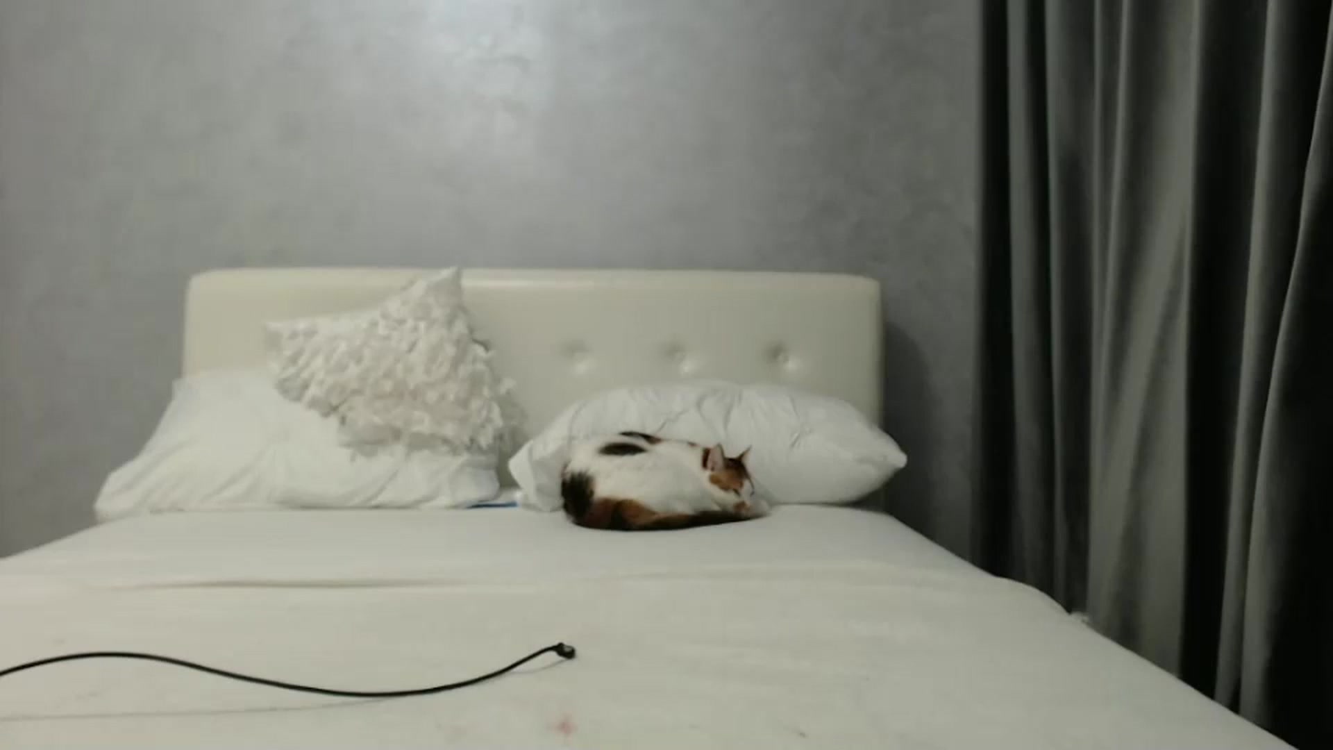 Gallery image thumbnail from Aahh_Emilia's myfreecams stream on, 03/13/2025, 16:43 image 12 of 20