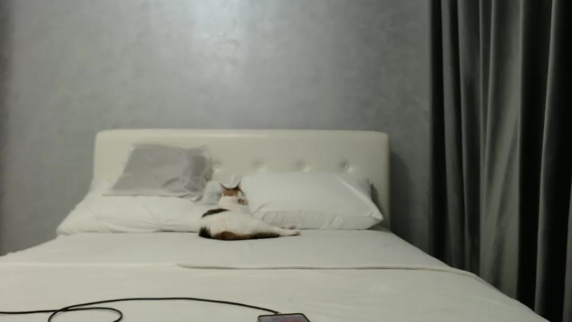 Gallery image thumbnail from Aahh_Emilia's myfreecams stream on, 03/15/2025, 16:10 image 16 of 20
