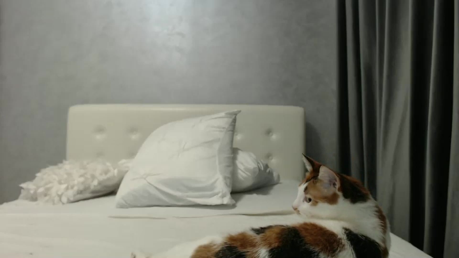 Gallery image thumbnail from Aahh_Emilia's myfreecams stream on, 03/15/2025, 18:10 image 5 of 20