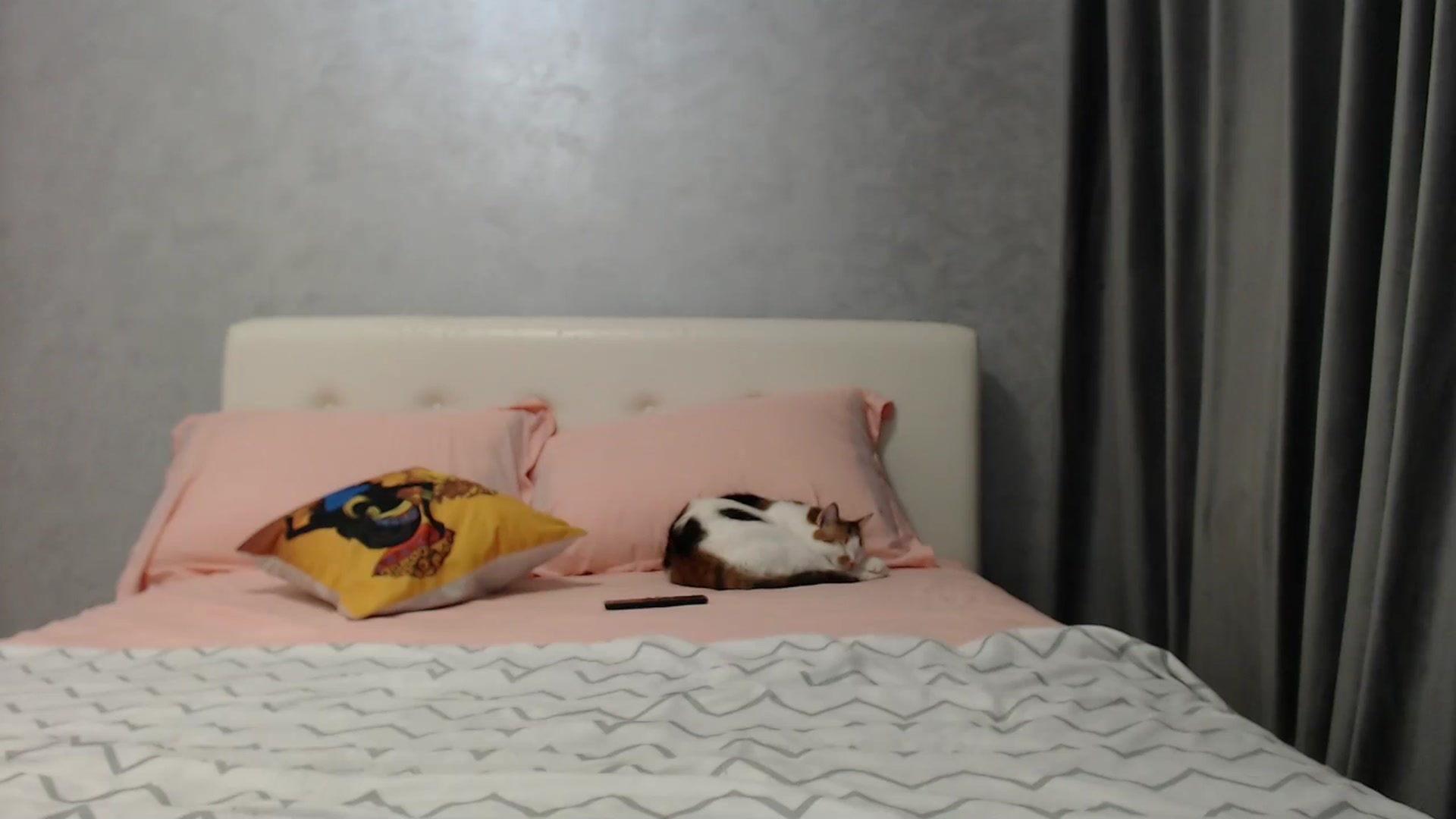 Gallery image thumbnail from Aahh_Emilia's myfreecams stream on, 03/20/2025, 16:34 image 17 of 20
