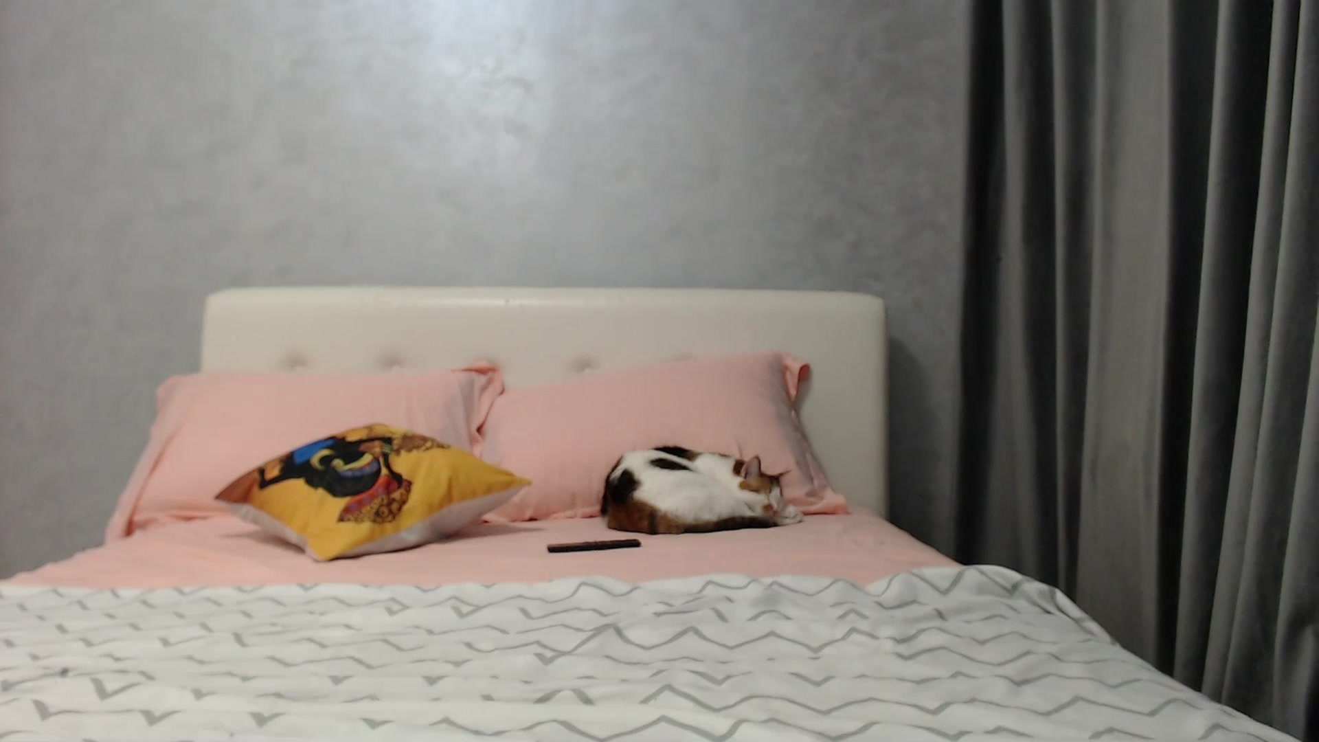 Gallery image thumbnail from Aahh_Emilia's myfreecams stream on, 03/20/2025, 16:34 image 9 of 20