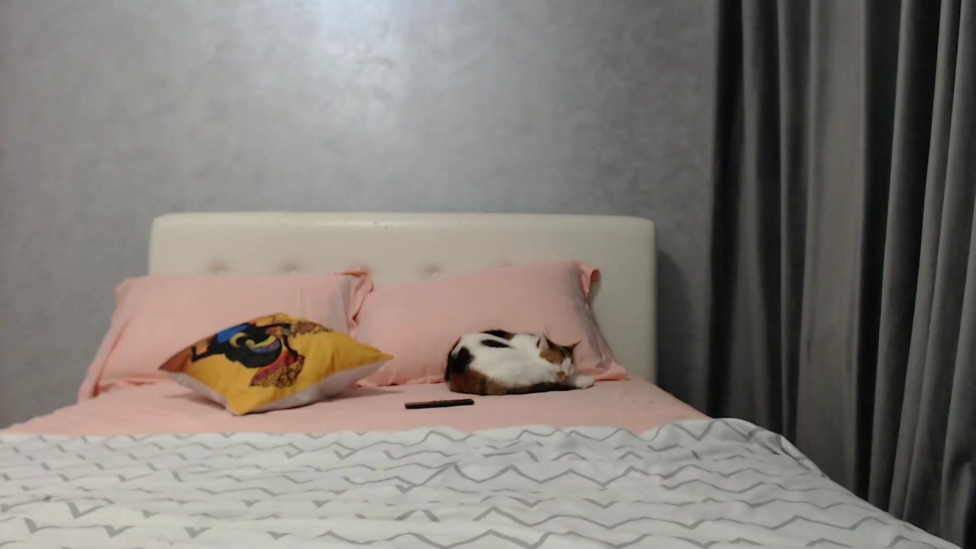 Gallery image thumbnail from Aahh_Emilia's myfreecams stream on, 03/20/2025, 16:34 image 4 of 20