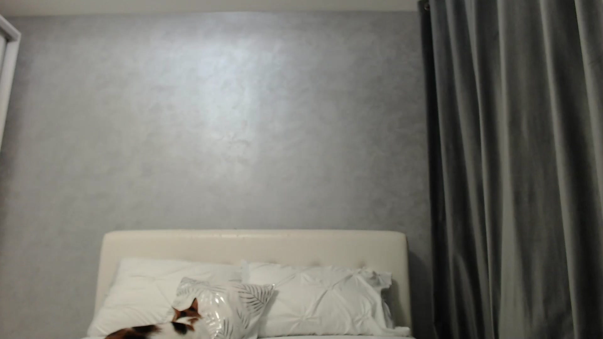 Gallery image thumbnail from Aahh_Emilia's myfreecams stream on, 03/22/2025, 16:33 image 17 of 20