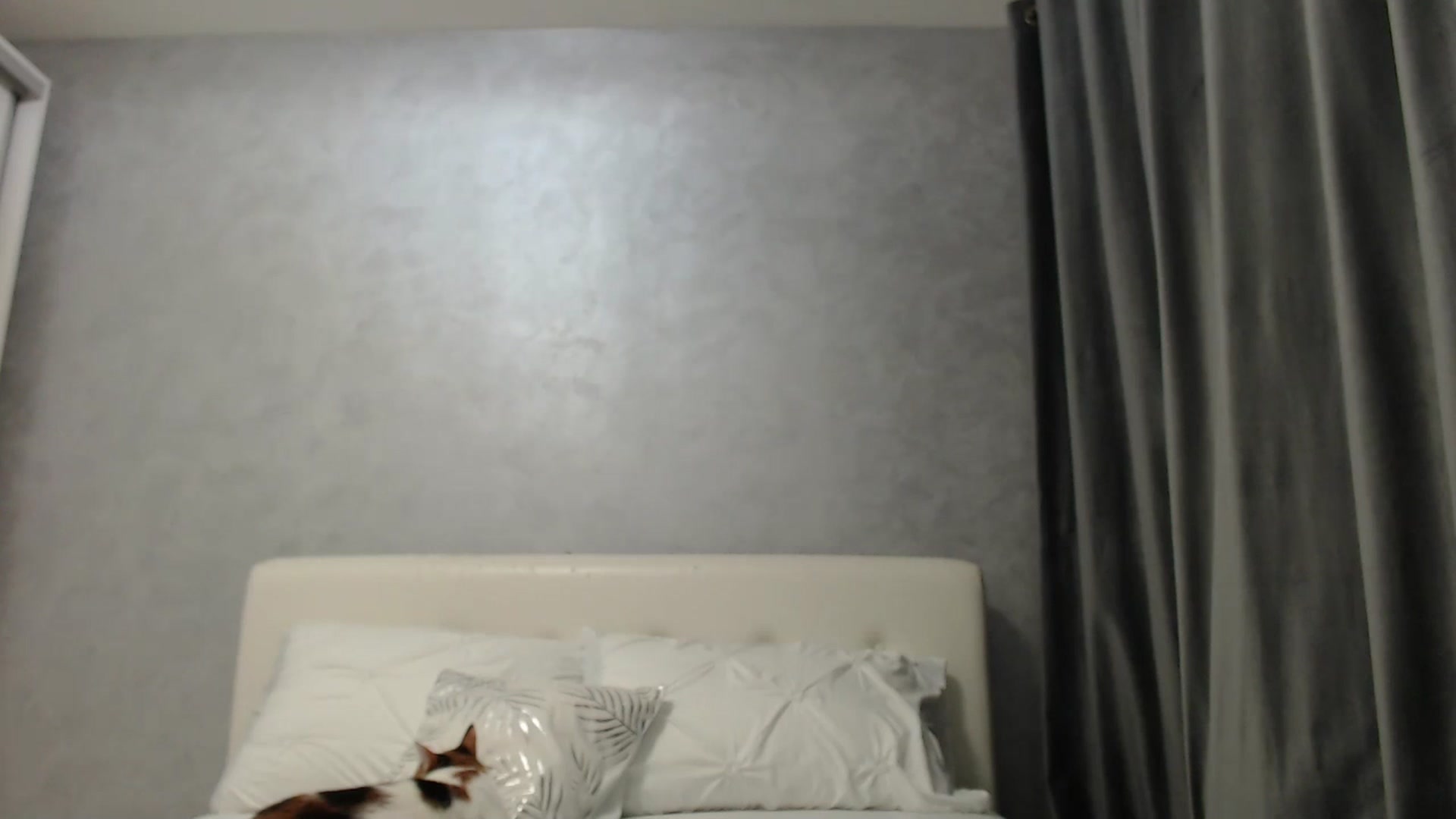 Gallery image thumbnail from Aahh_Emilia's myfreecams stream on, 03/22/2025, 16:33 image 19 of 20