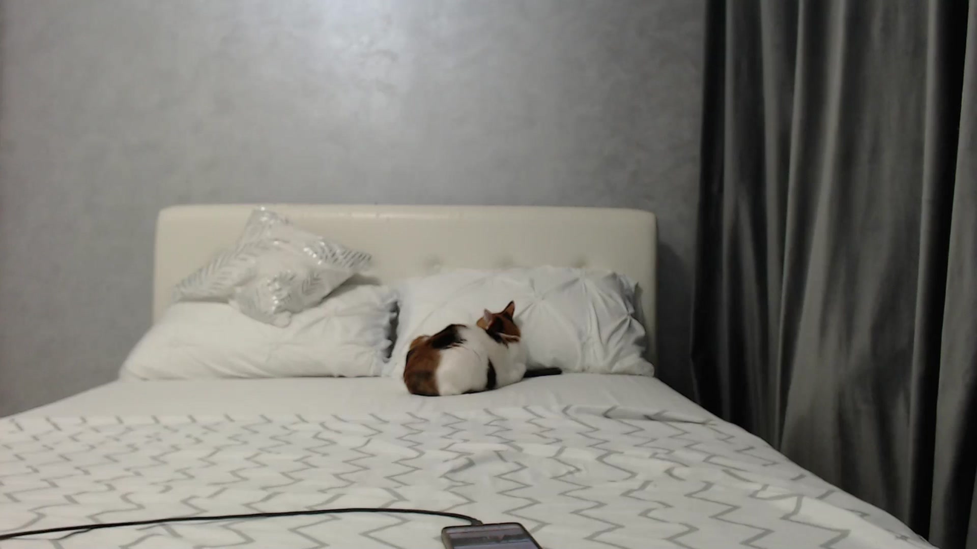 Gallery image thumbnail from Aahh_Emilia's myfreecams stream on, 03/23/2025, 16:23 image 19 of 20