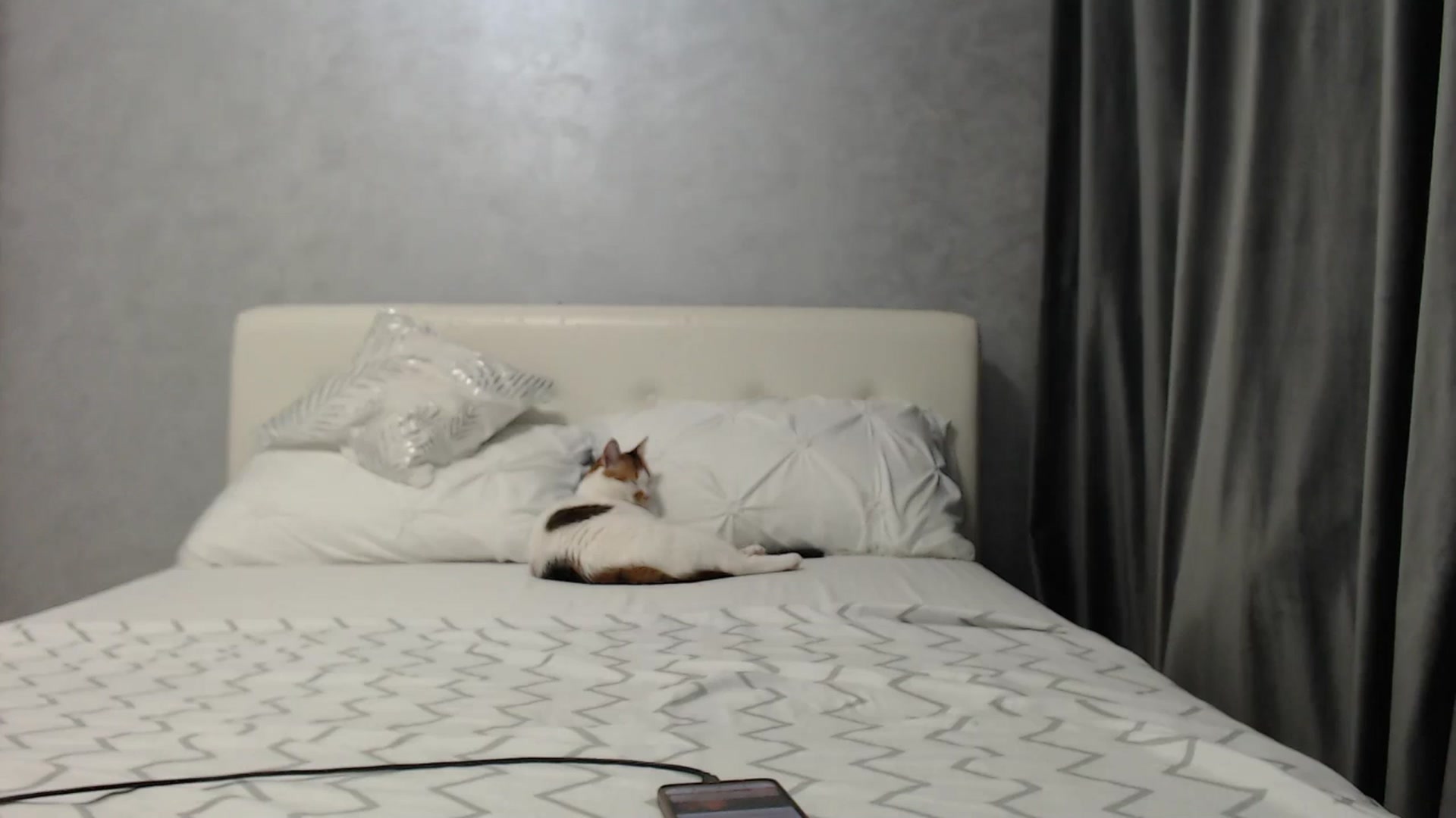 Gallery image thumbnail from Aahh_Emilia's myfreecams stream on, 03/23/2025, 16:23 image 17 of 20
