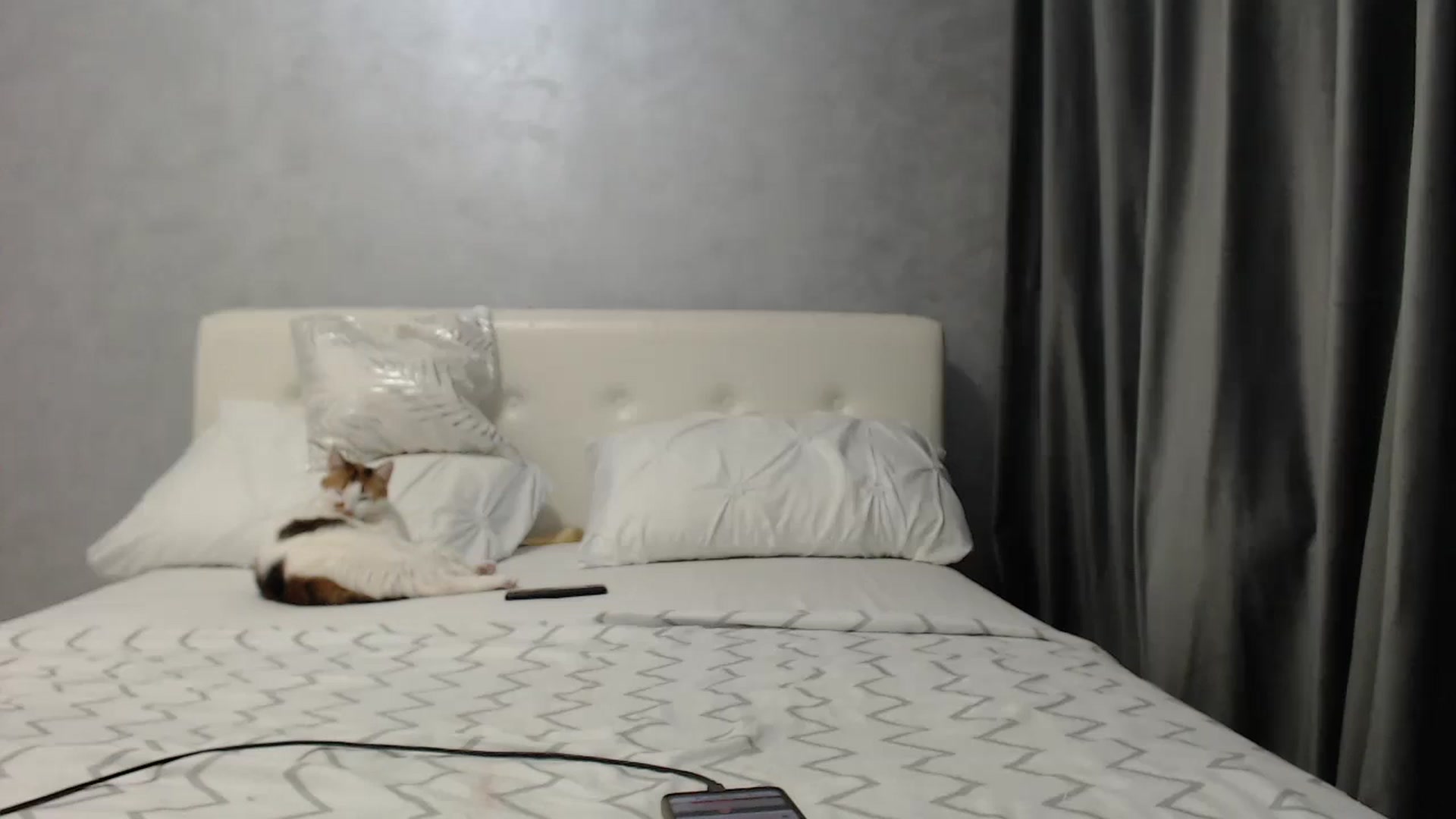 Gallery image thumbnail from Aahh_Emilia's myfreecams stream on, 03/24/2025, 16:34 image 16 of 20