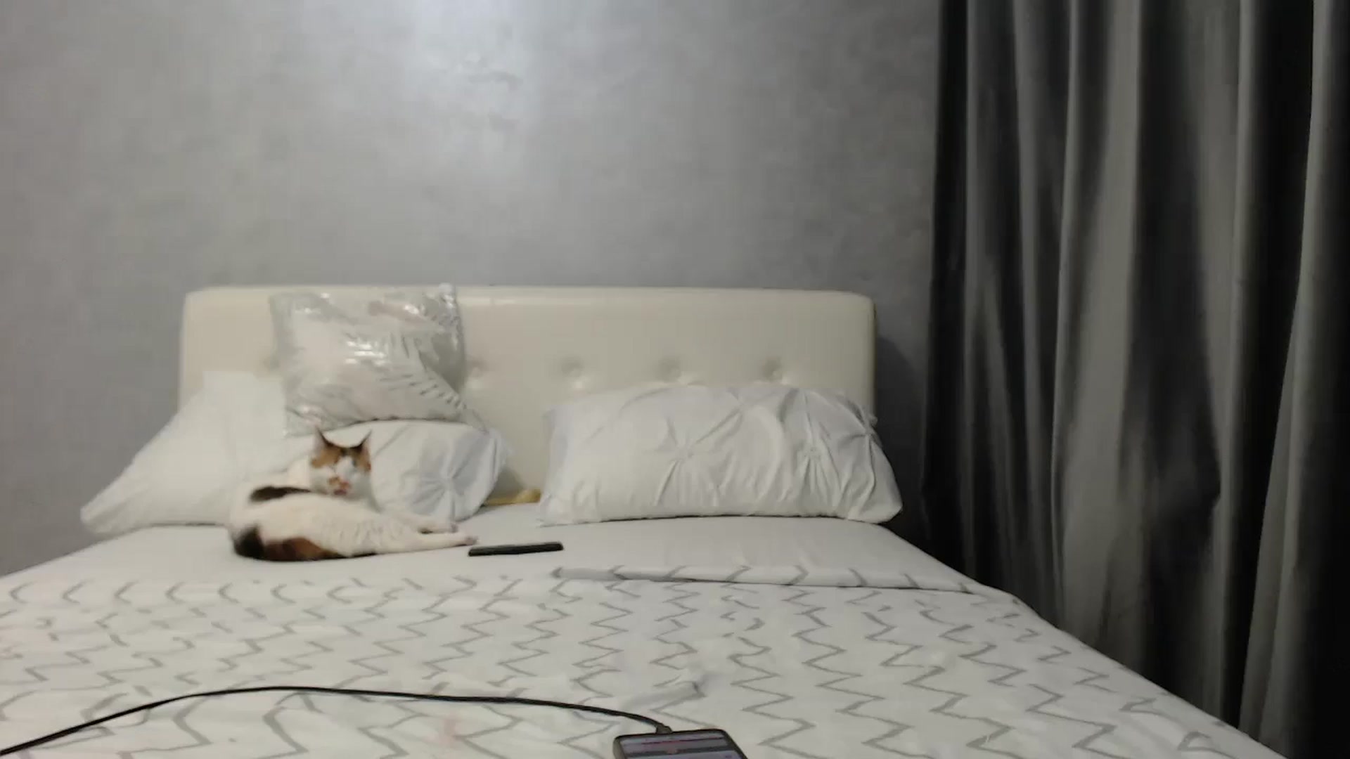 Gallery image thumbnail from Aahh_Emilia's myfreecams stream on, 03/24/2025, 16:34 image 17 of 20