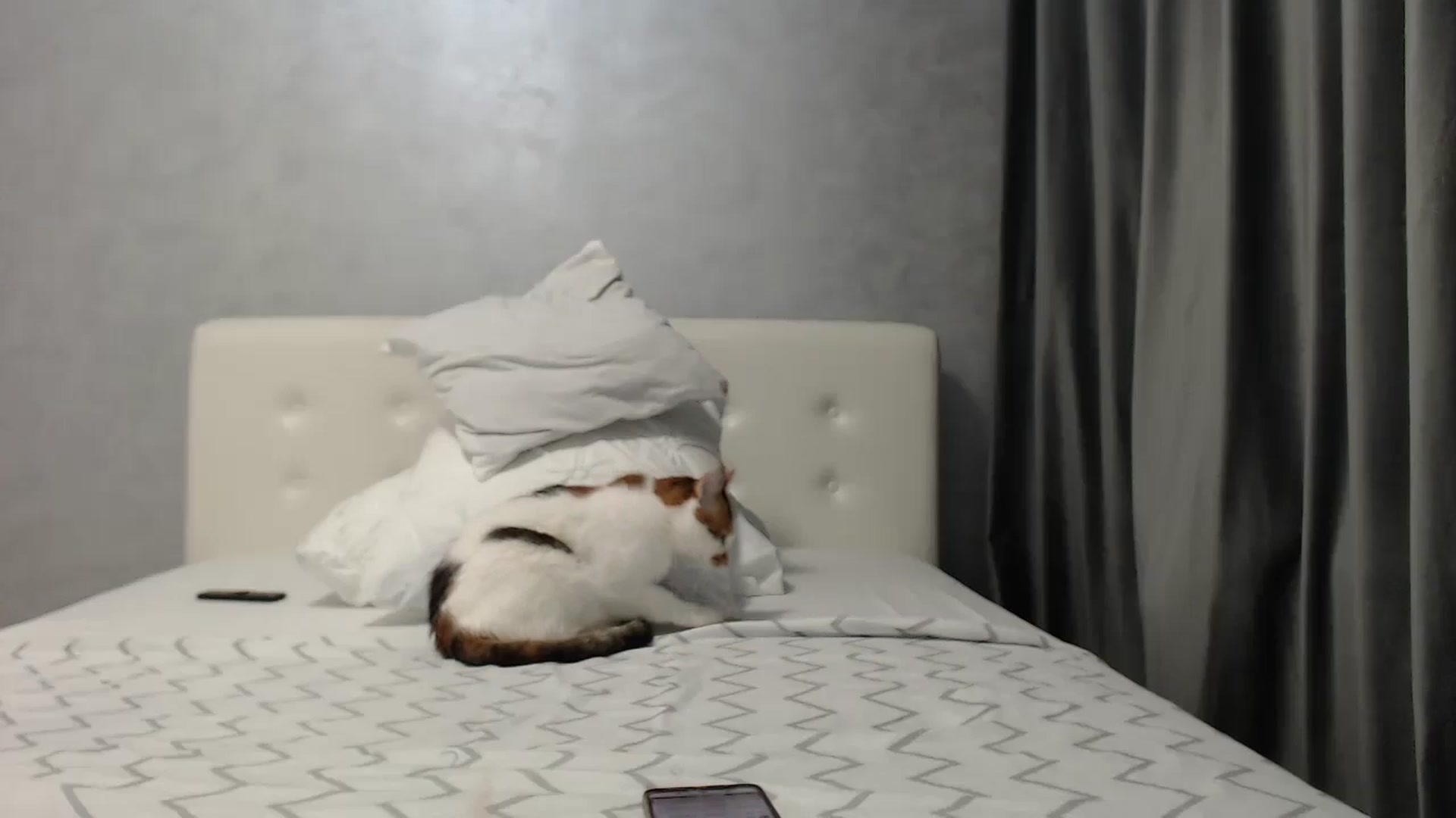 Gallery image thumbnail from Aahh_Emilia's myfreecams stream on, 03/24/2025, 18:43 image 5 of 20