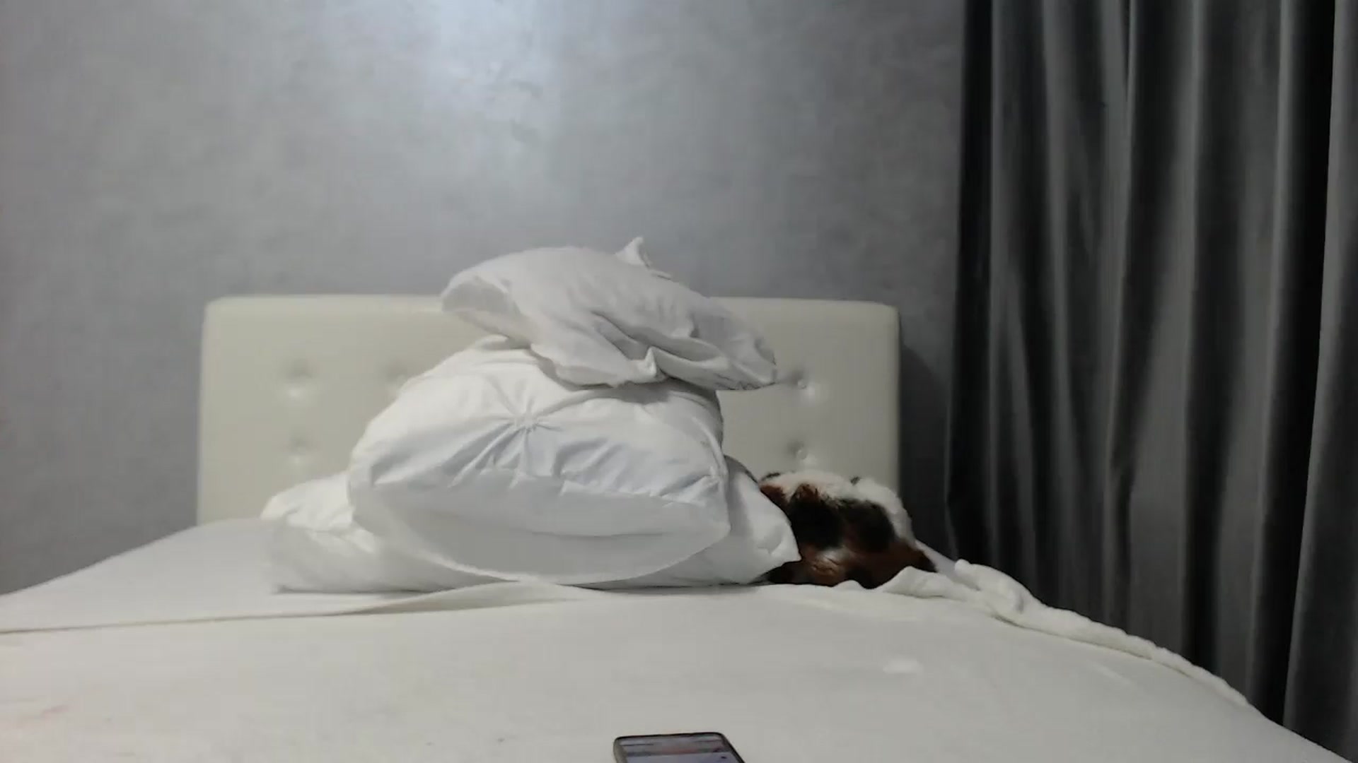 Gallery image thumbnail from Aahh_Emilia's myfreecams stream on, 03/25/2025, 18:16 image 17 of 20