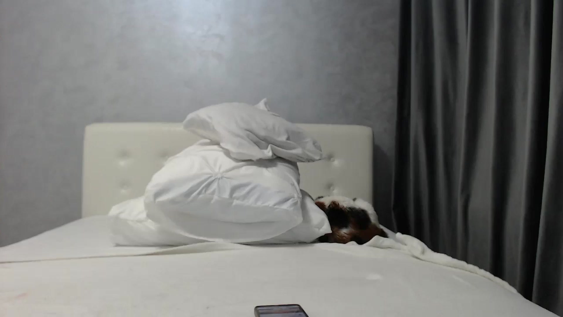 Gallery image thumbnail from Aahh_Emilia's myfreecams stream on, 03/25/2025, 18:16 image 15 of 20
