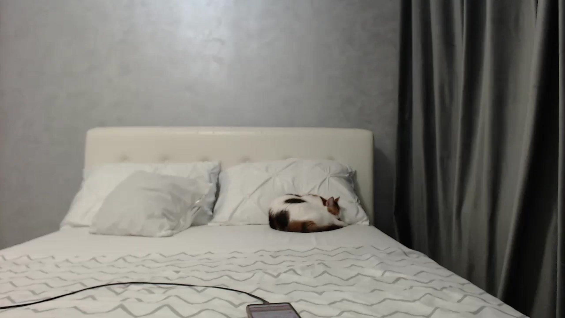Gallery image thumbnail from Aahh_Emilia's myfreecams stream on, 03/27/2025, 16:01 image 14 of 20