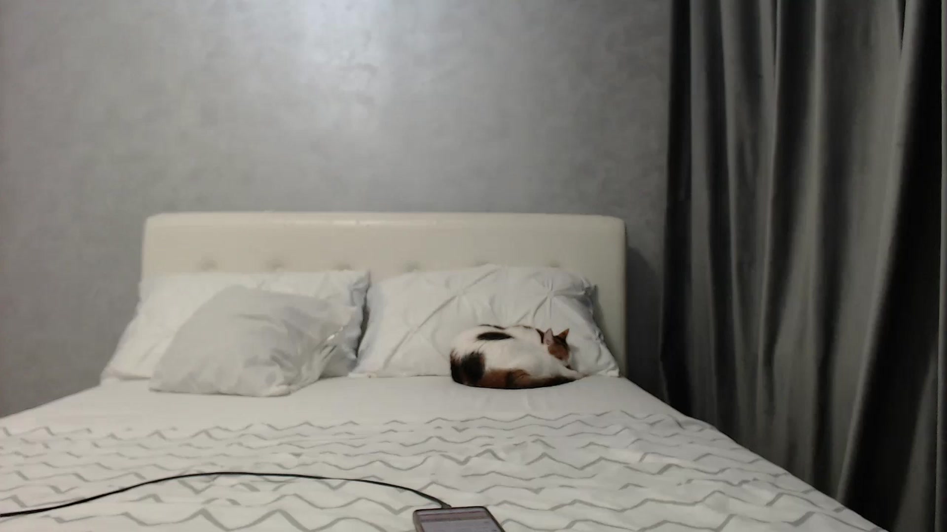 Gallery image thumbnail from Aahh_Emilia's myfreecams stream on, 03/27/2025, 16:01 image 15 of 20