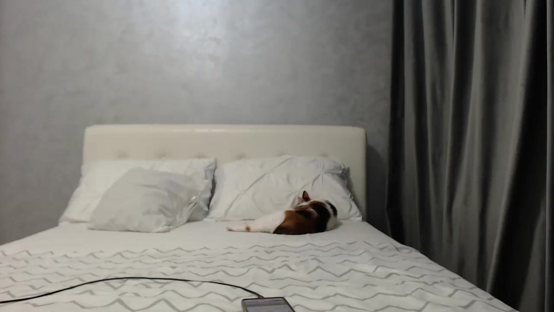 Gallery image thumbnail from Aahh_Emilia's myfreecams stream on, 03/27/2025, 16:01 image 11 of 20