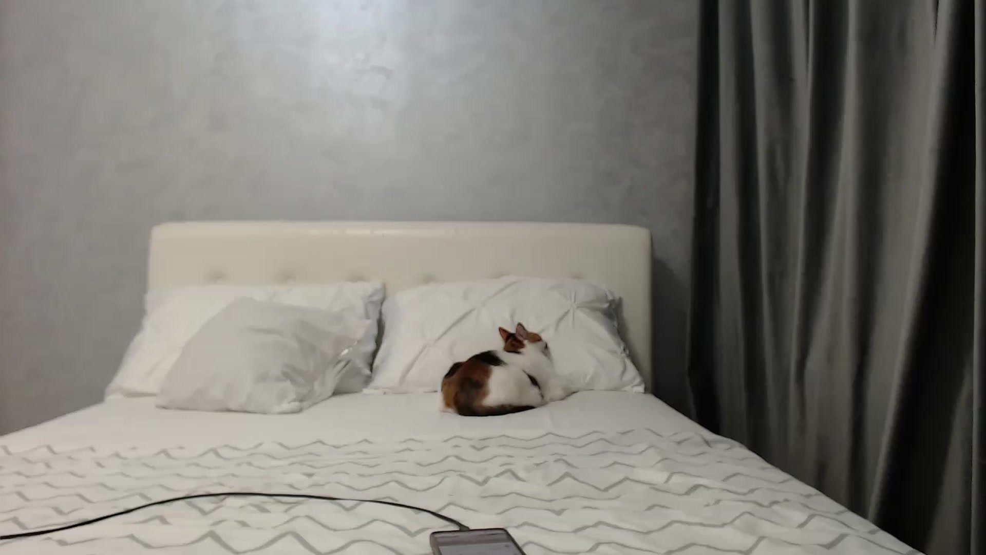 Gallery image thumbnail from Aahh_Emilia's myfreecams stream on, 03/27/2025, 16:01 image 12 of 20