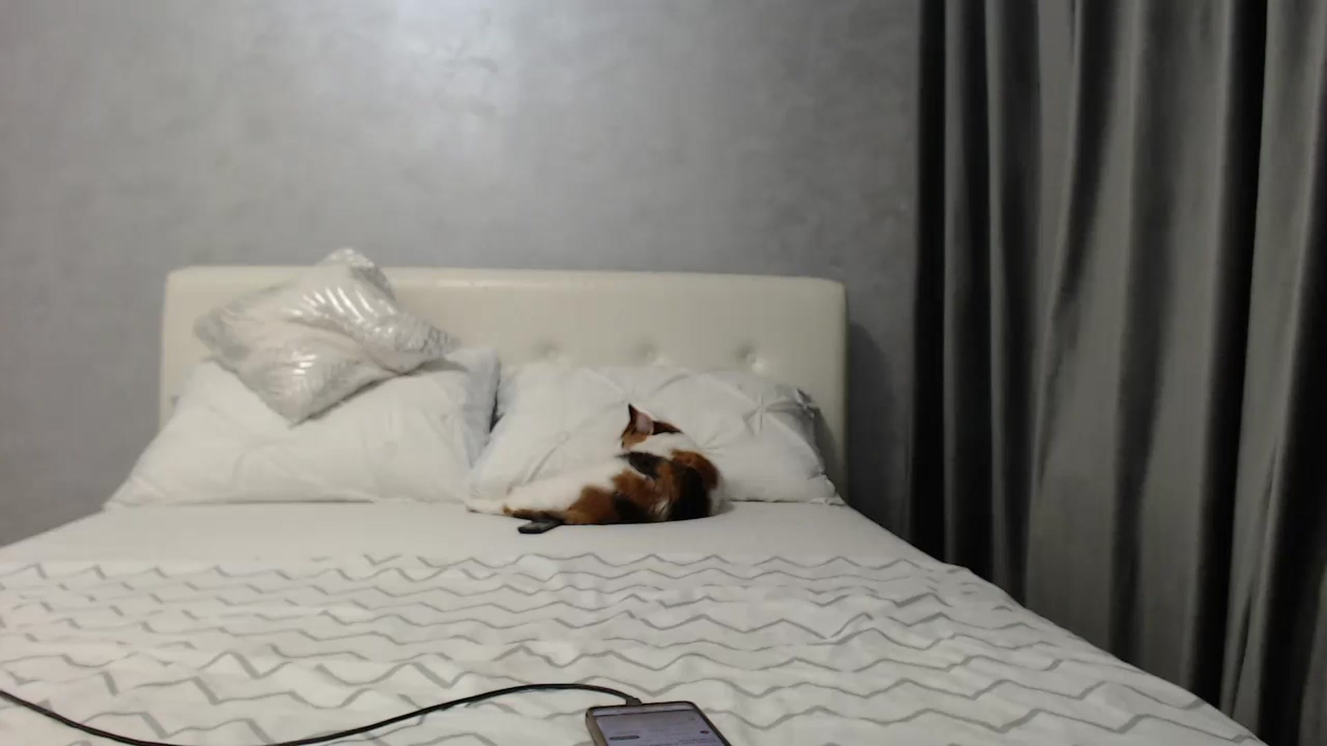 Gallery image thumbnail from Aahh_Emilia's myfreecams stream on, 03/30/2025, 16:47 image 8 of 20