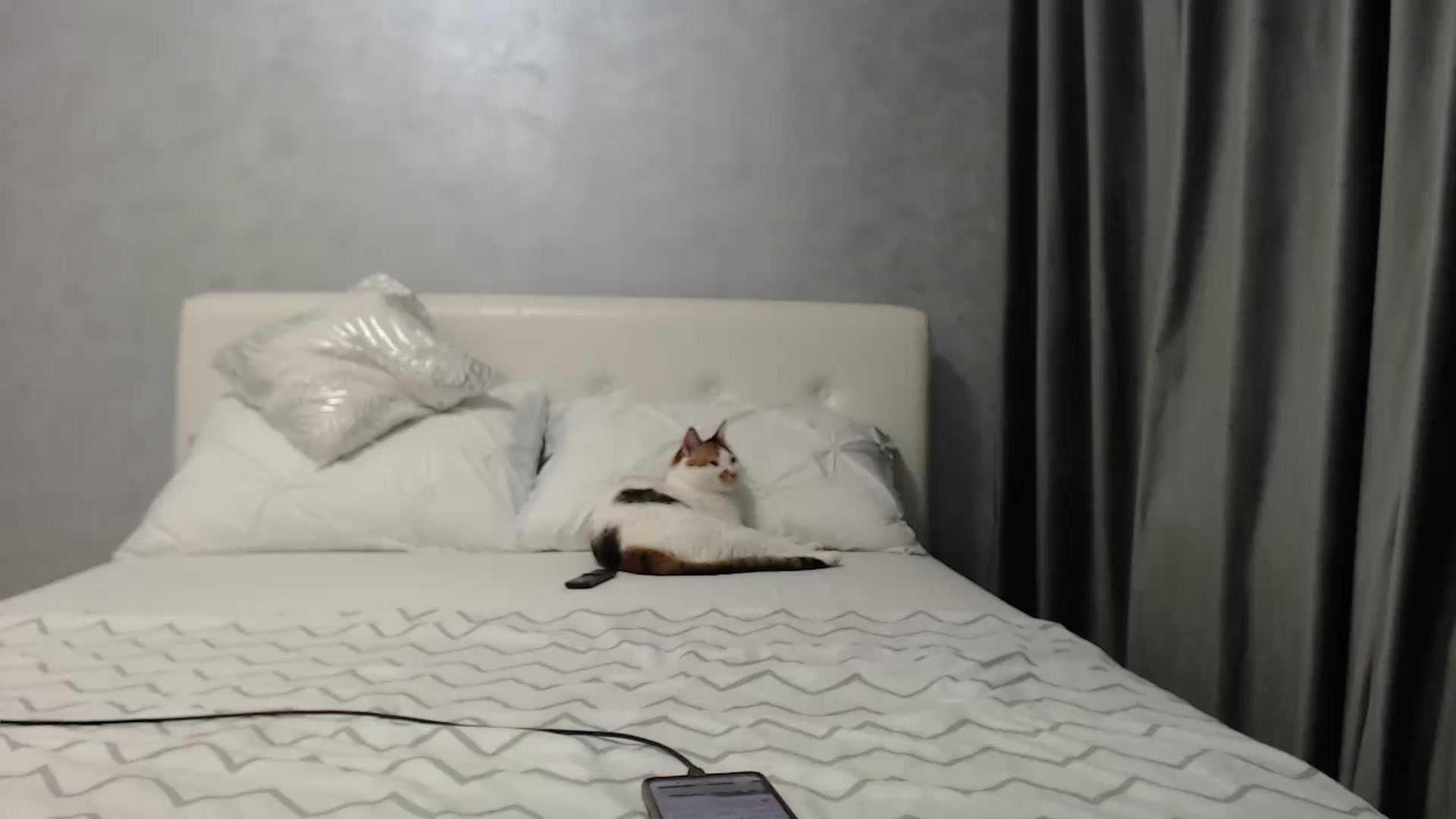 Gallery image thumbnail from Aahh_Emilia's myfreecams stream on, 03/30/2025, 16:47 image 19 of 20