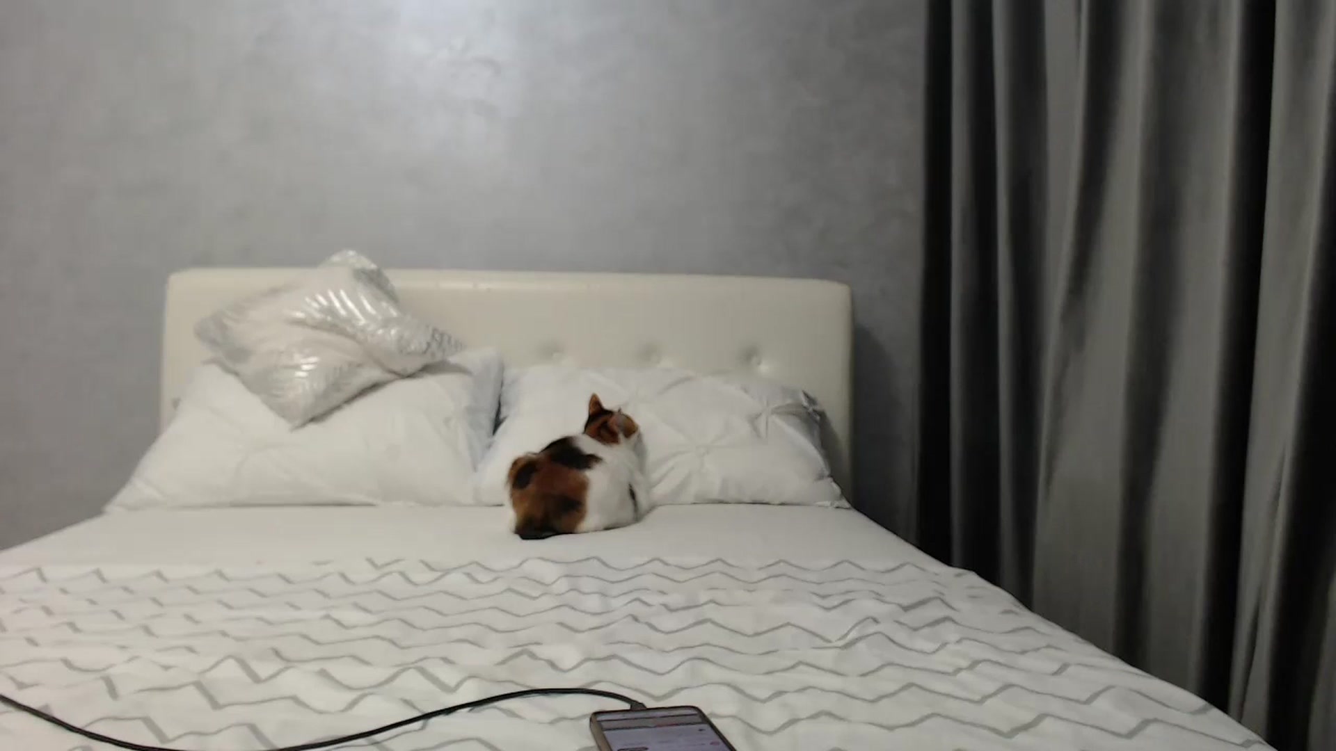 Gallery image thumbnail from Aahh_Emilia's myfreecams stream on, 03/30/2025, 16:47 image 9 of 20
