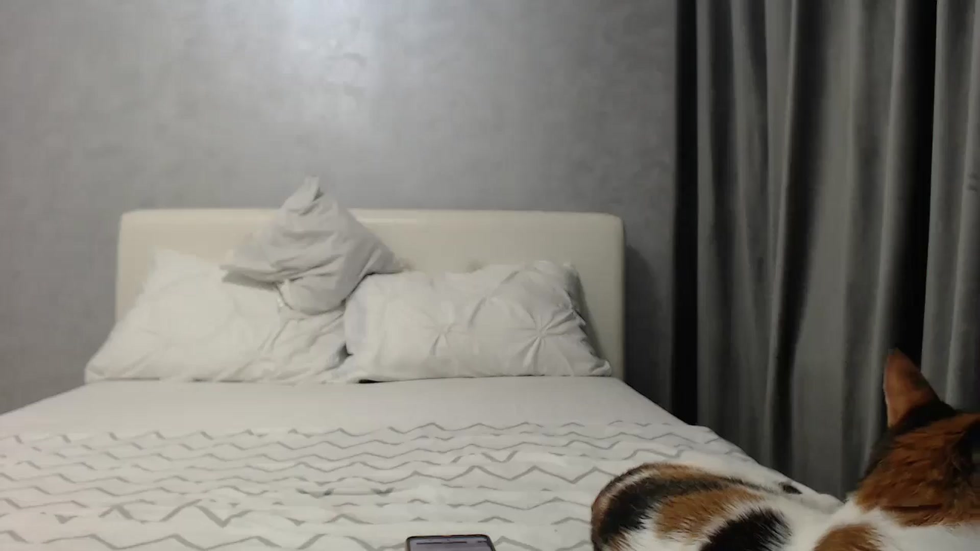 Gallery image thumbnail from Aahh_Emilia's myfreecams stream on, 03/31/2025, 16:33 image 12 of 20