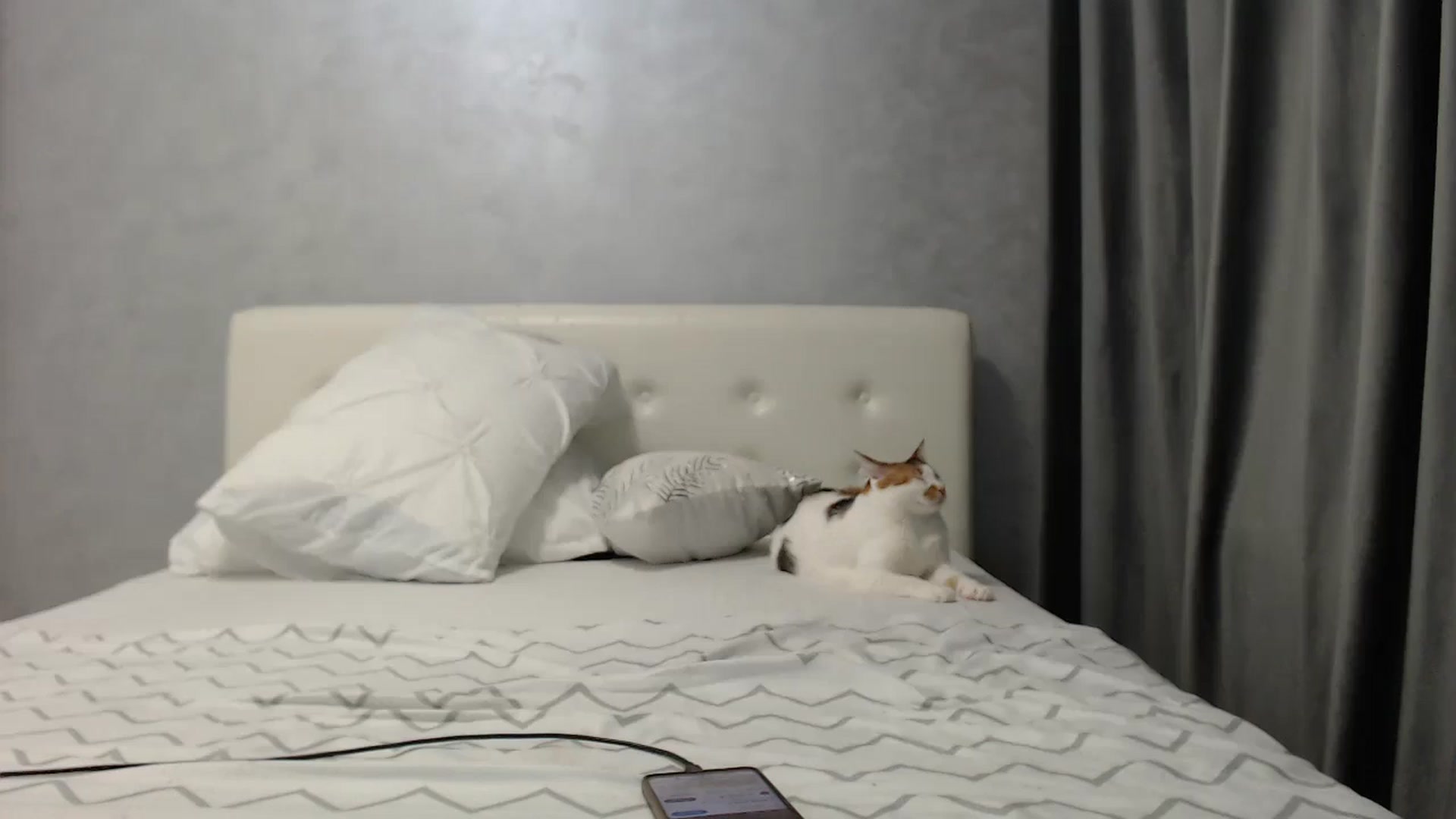 Gallery image thumbnail from Aahh_Emilia's myfreecams stream on, 03/31/2025, 18:30 image 16 of 20
