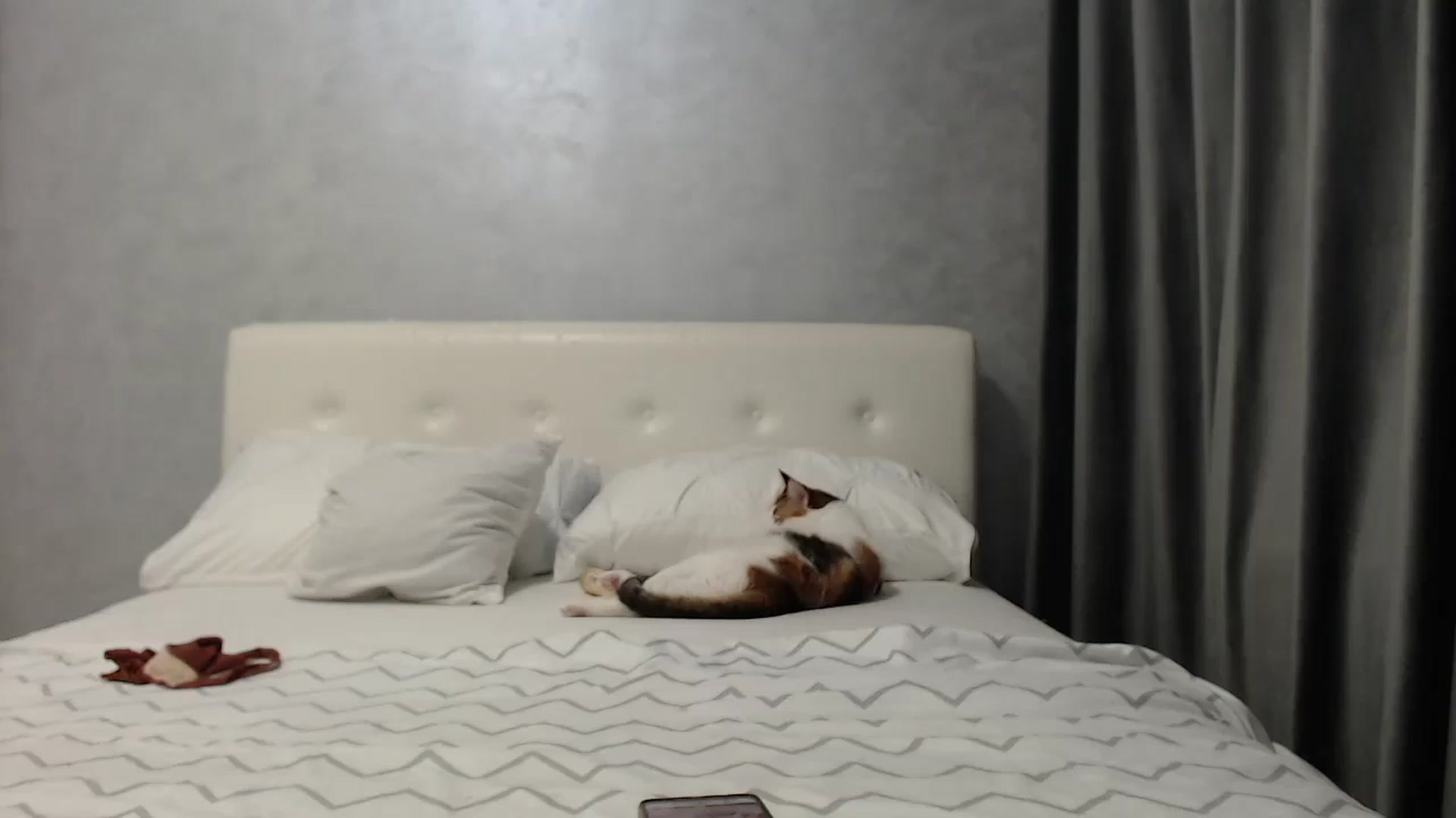 Gallery image thumbnail from Aahh_Emilia's myfreecams stream on, 04/04/2025, 16:29 image 9 of 20
