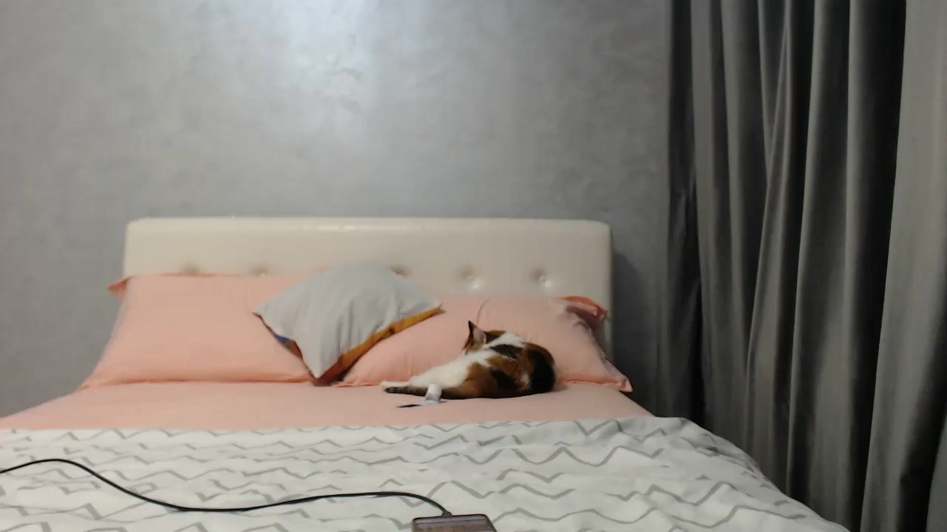 Gallery image thumbnail from Aahh_Emilia's myfreecams stream on, 04/11/2025, 16:28 image 15 of 20