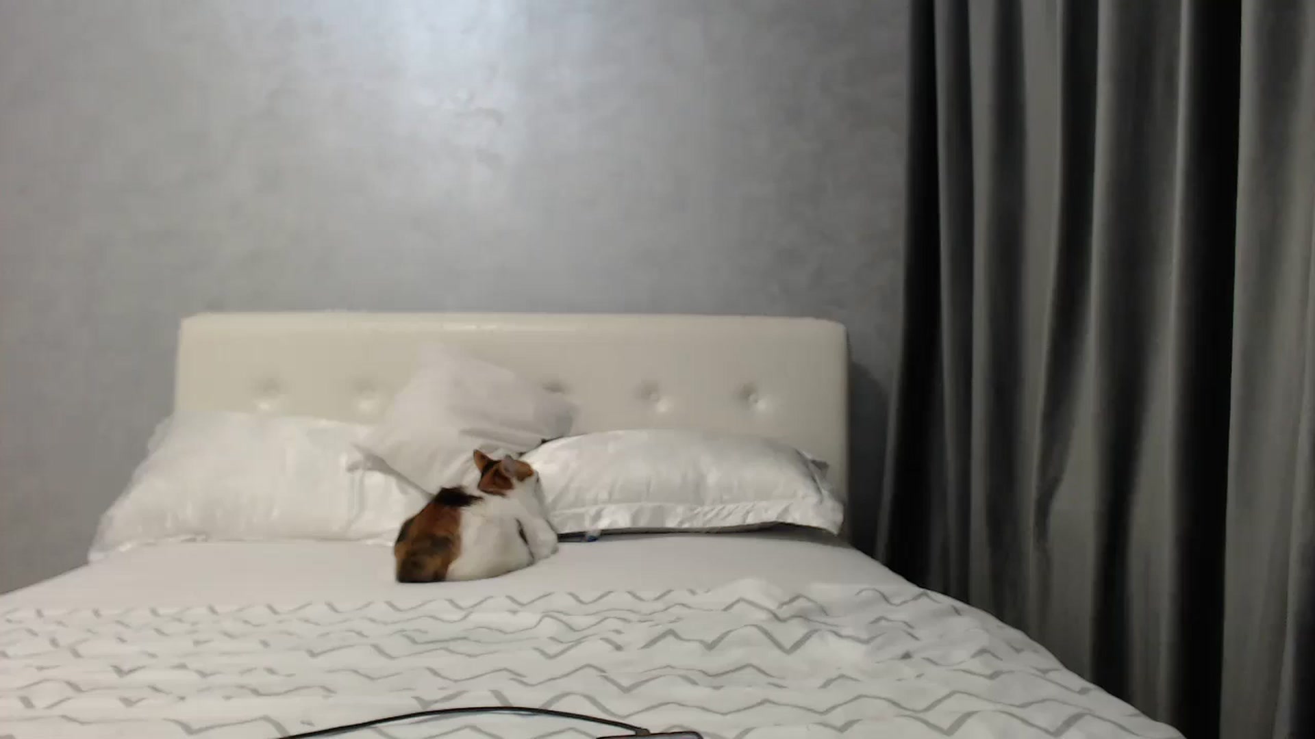 Gallery image thumbnail from Aahh_Emilia's myfreecams stream on, 04/17/2025, 17:06 image 12 of 20