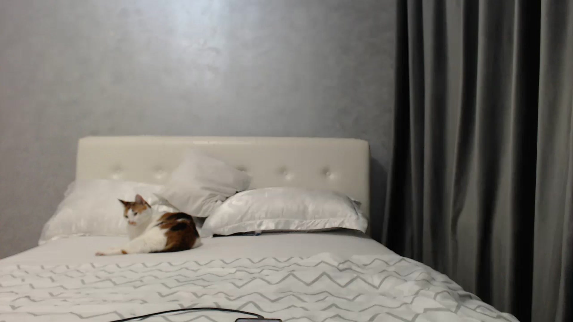 Gallery image thumbnail from Aahh_Emilia's myfreecams stream on, 04/17/2025, 17:06 image 17 of 20