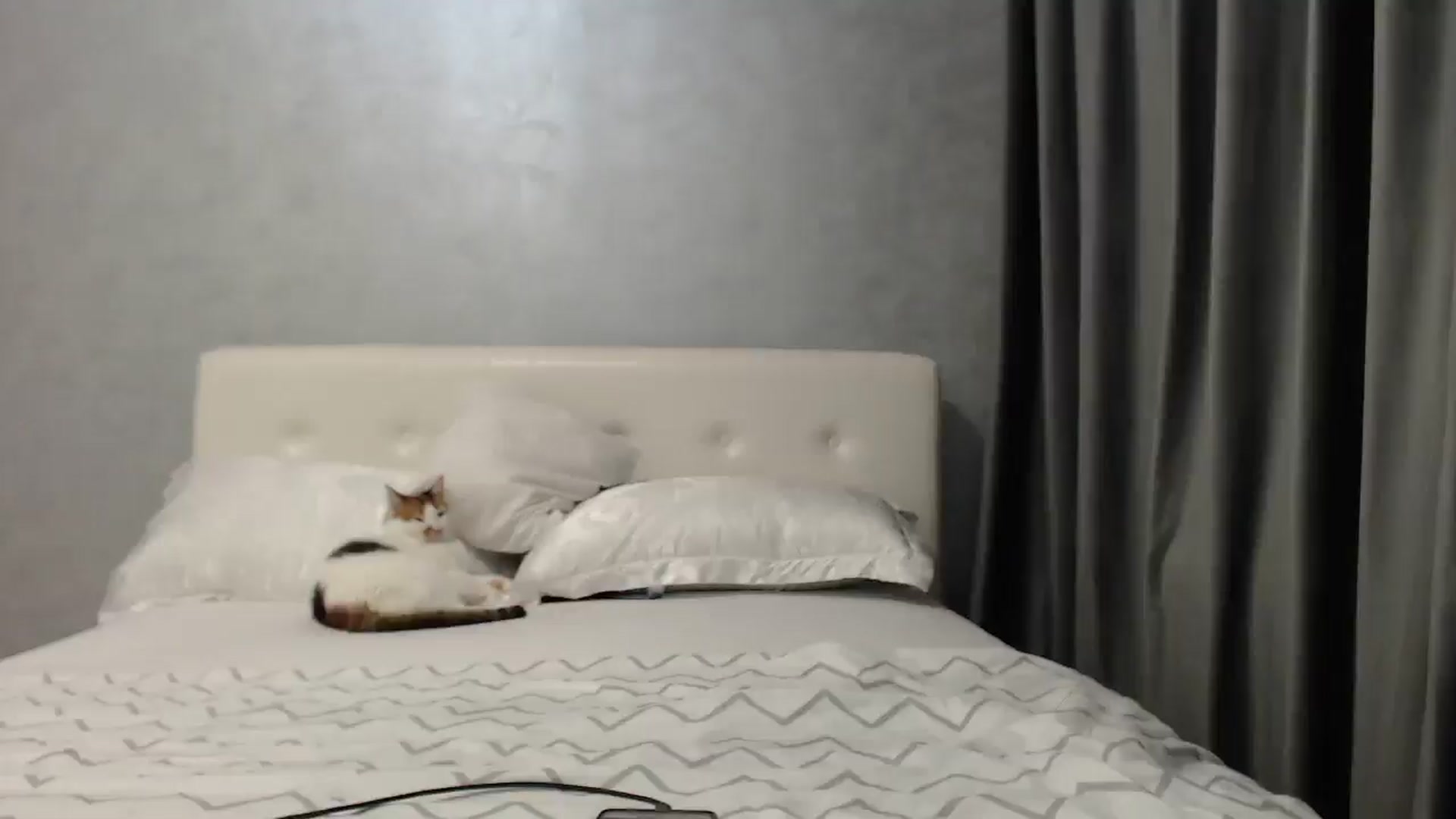 Gallery image thumbnail from Aahh_Emilia's myfreecams stream on, 04/17/2025, 17:06 image 18 of 20