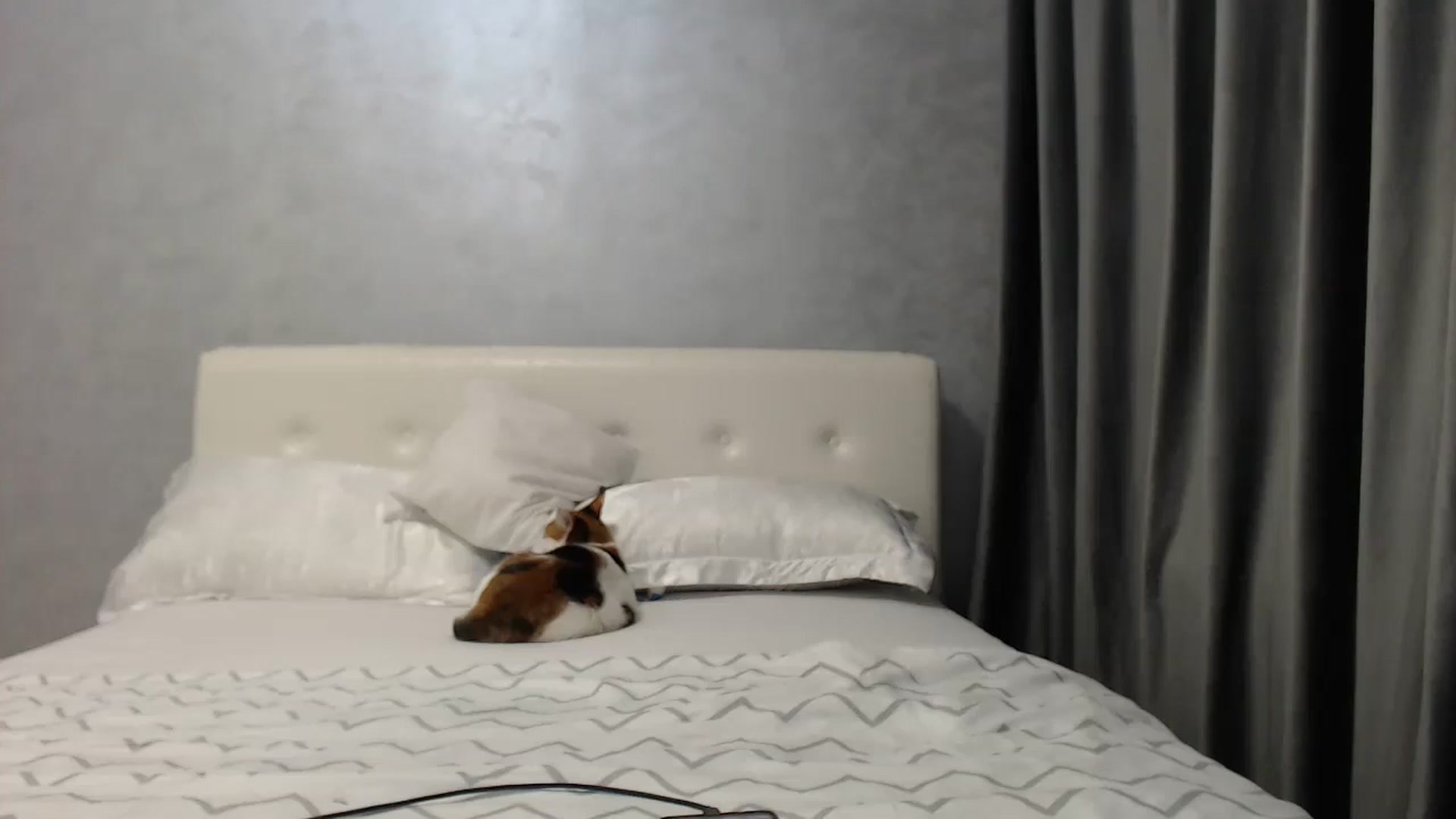 Gallery image thumbnail from Aahh_Emilia's myfreecams stream on, 04/17/2025, 17:06 image 11 of 20