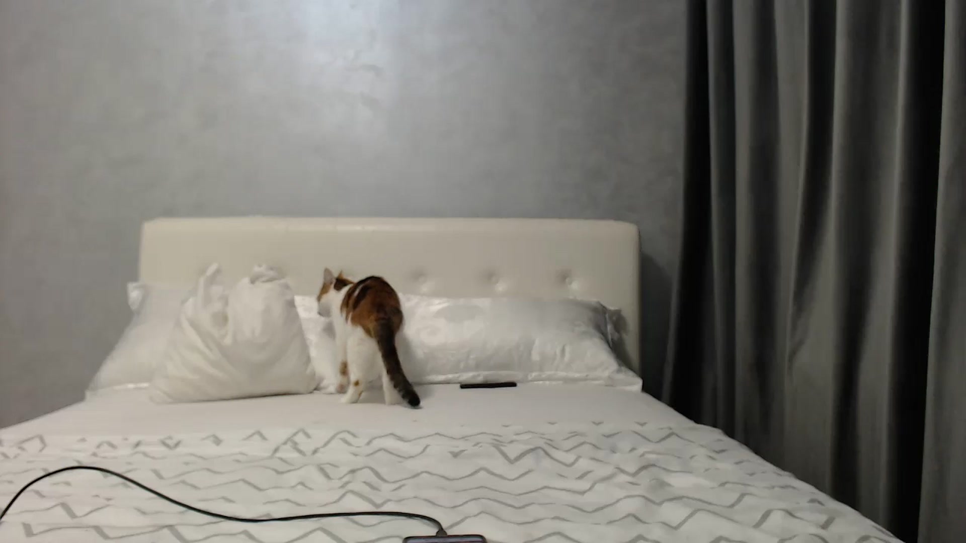 Gallery image thumbnail from Aahh_Emilia's myfreecams stream on, 04/18/2025, 17:01 image 17 of 20