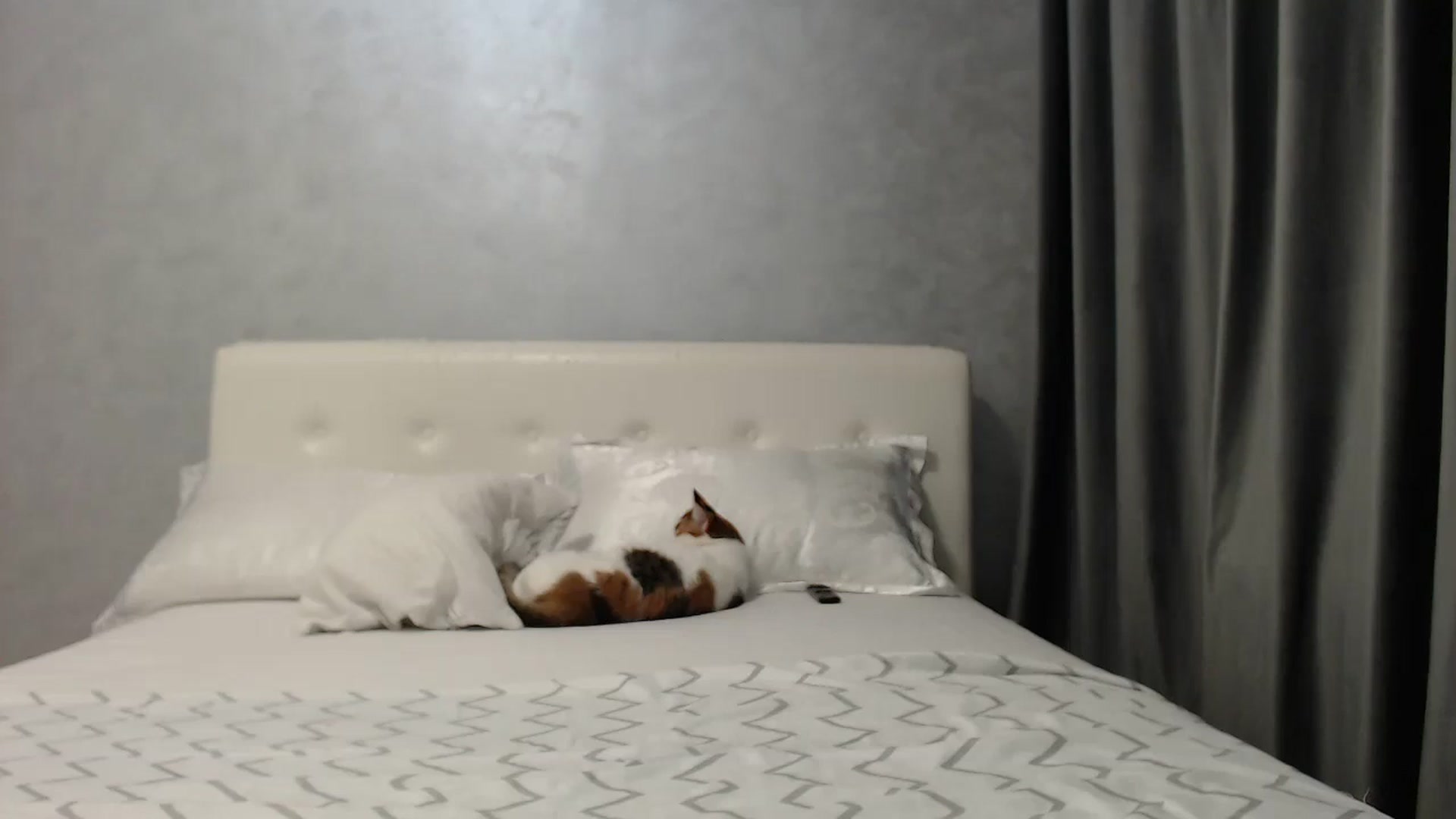 Gallery image thumbnail from Aahh_Emilia's myfreecams stream on, 04/20/2025, 16:38 image 10 of 20
